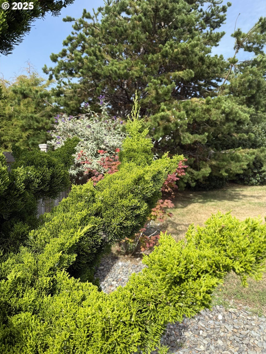 Brookings, Oregon, 97415, United States, 3 Bedrooms Bedrooms, ,2 BathroomsBathrooms,Residential,For Sale,1974260