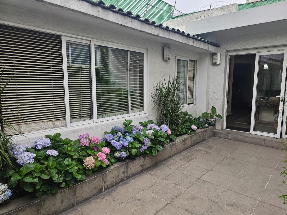 Palo Santo, Miguel Hidalgo, Ciudad de México, 11950, Mexico, 6 Bedrooms Bedrooms, ,2 BathroomsBathrooms,Residential,For Sale,Palo Santo,1627734