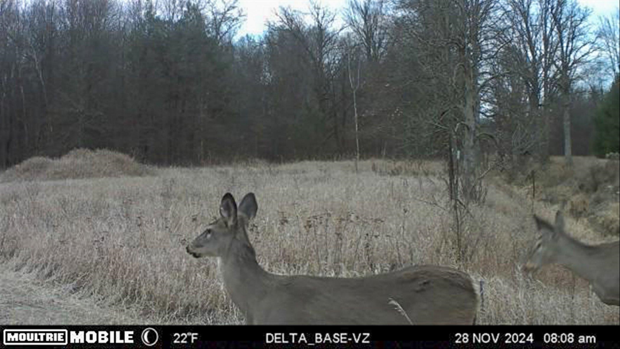 Midland, Michigan, 48640, United States, 3 Bedrooms Bedrooms, ,3 BathroomsBathrooms,Residential,For Sale,1975279