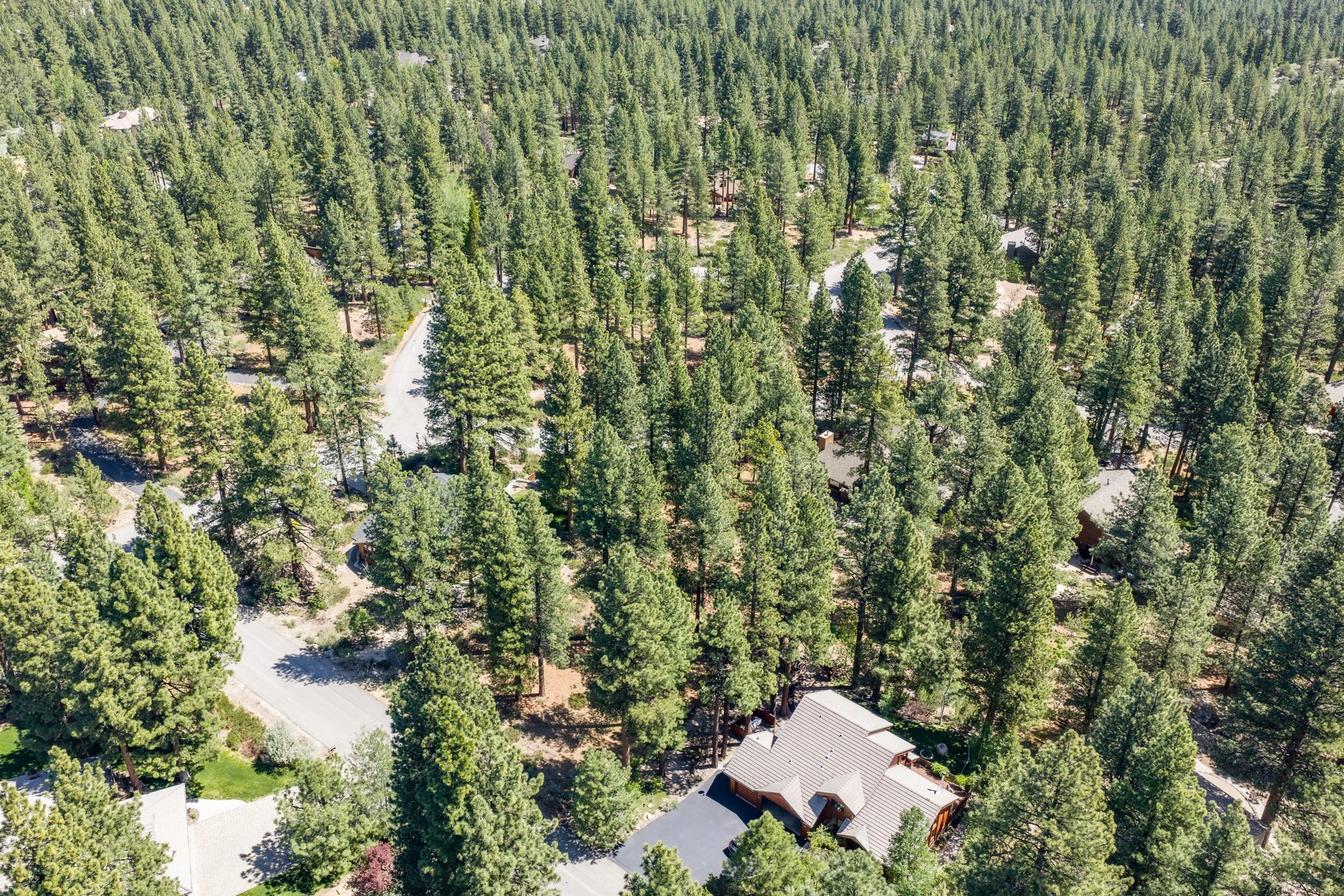  Private Galena Forest Parcel Near Mt. Rose with Pines & Tahoe Access - 物件實景