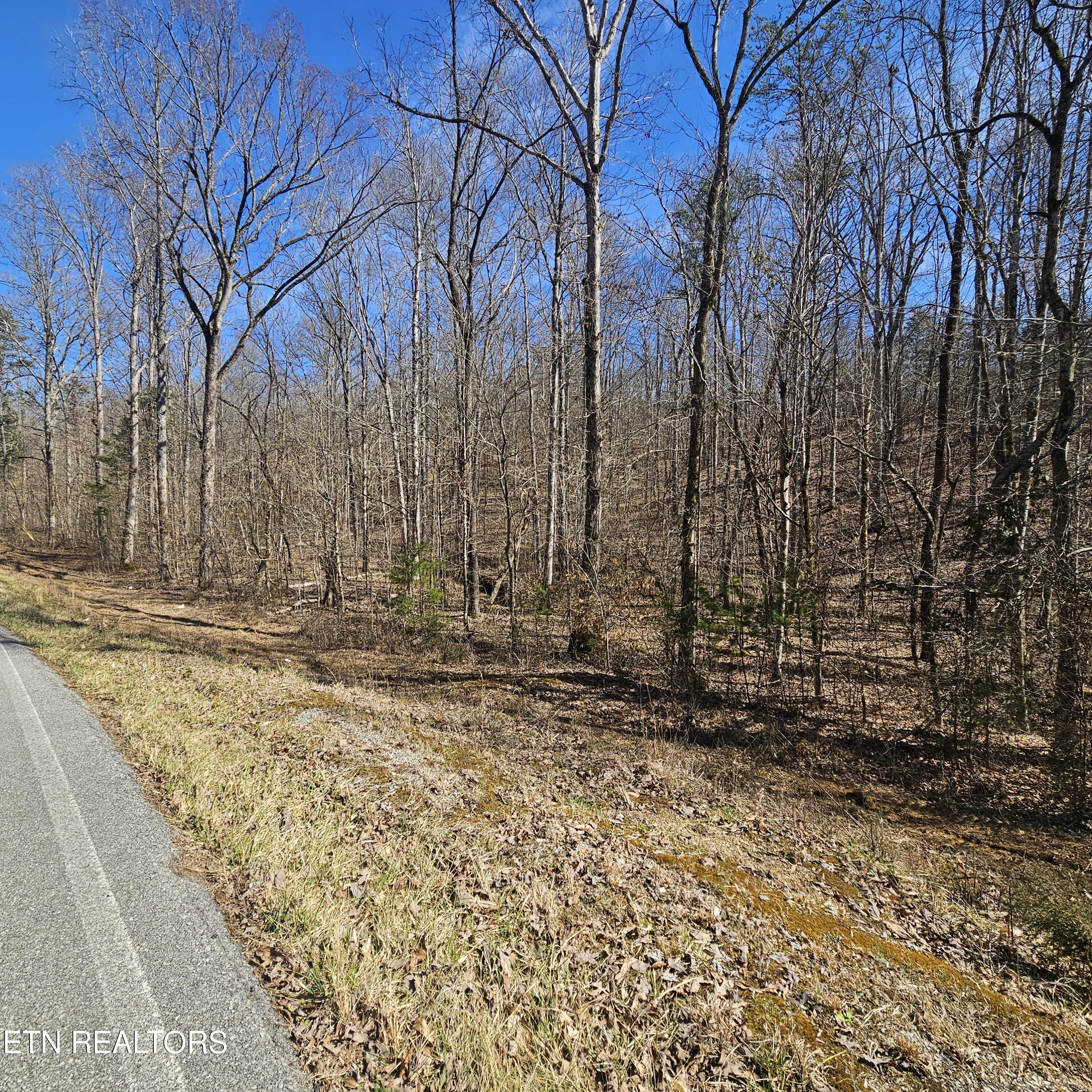 Tellico Plains, Tennessee, 37385, United States, ,Residential,For Sale,1922105