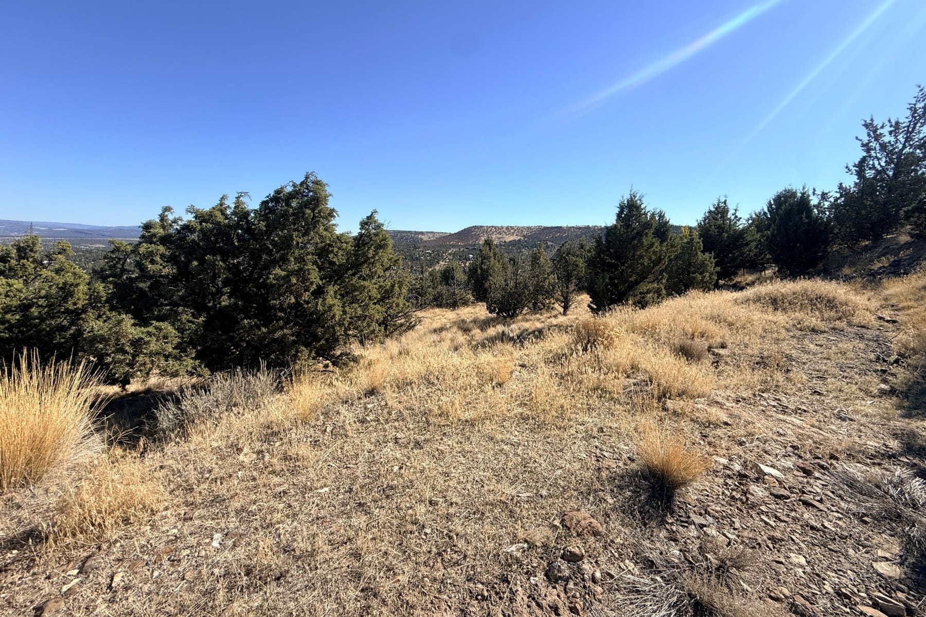  1000 SE Night Hawk Court Prineville, OR 97754 - 物件實景