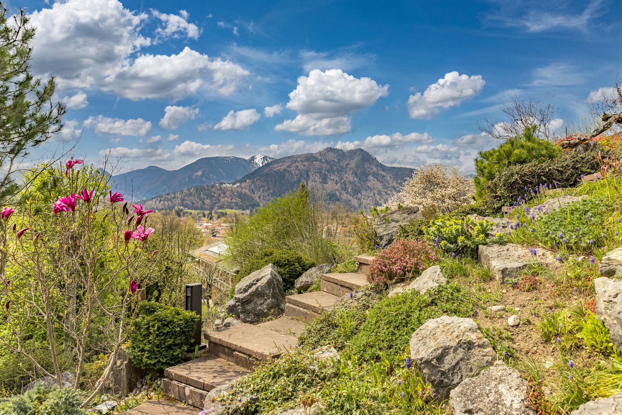  Alpine Living - Front Row to the Mountains - 物件實景