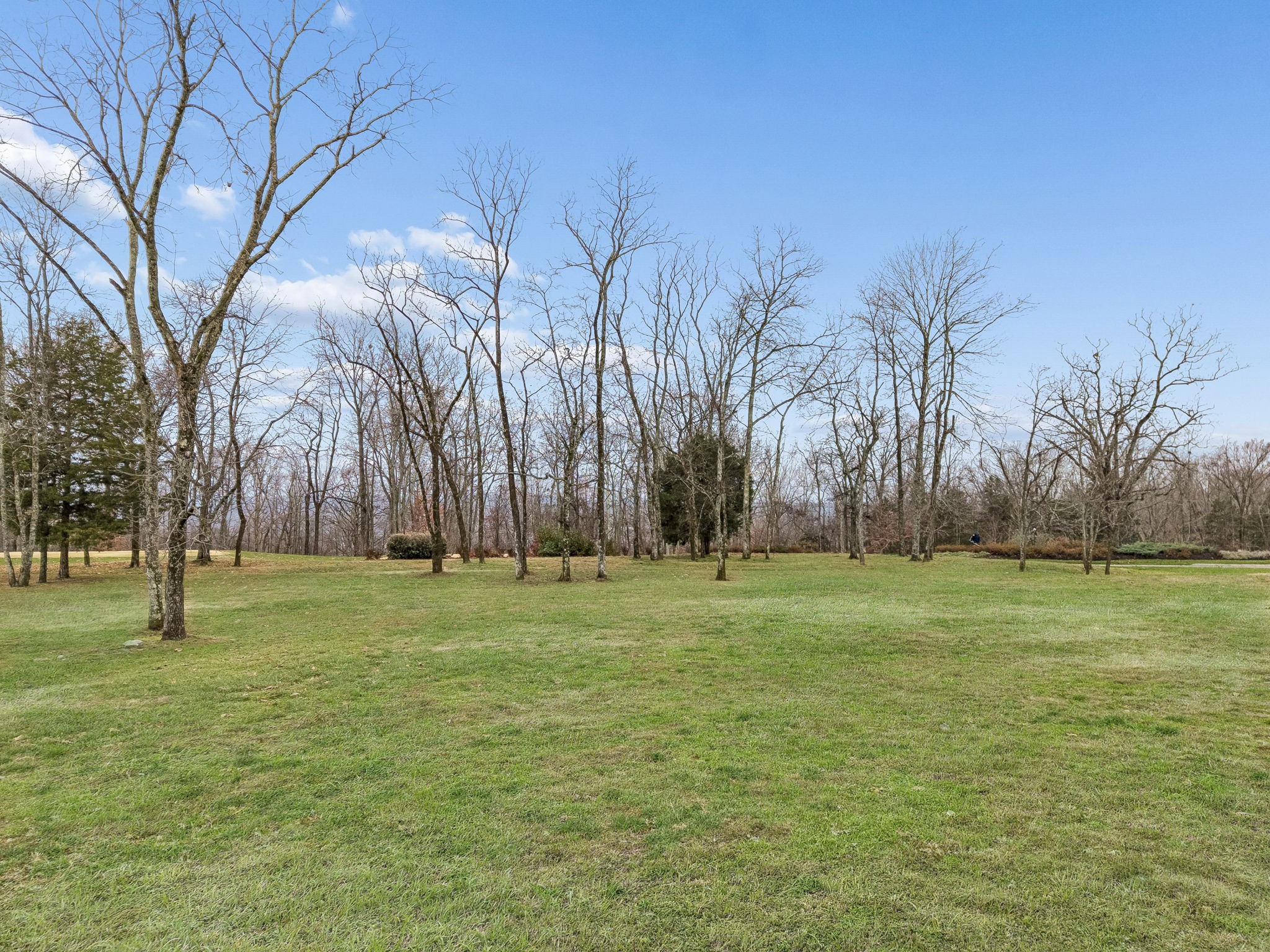  8025 Backwoods Dr, College Grove, TN, 37046 - 物件實景