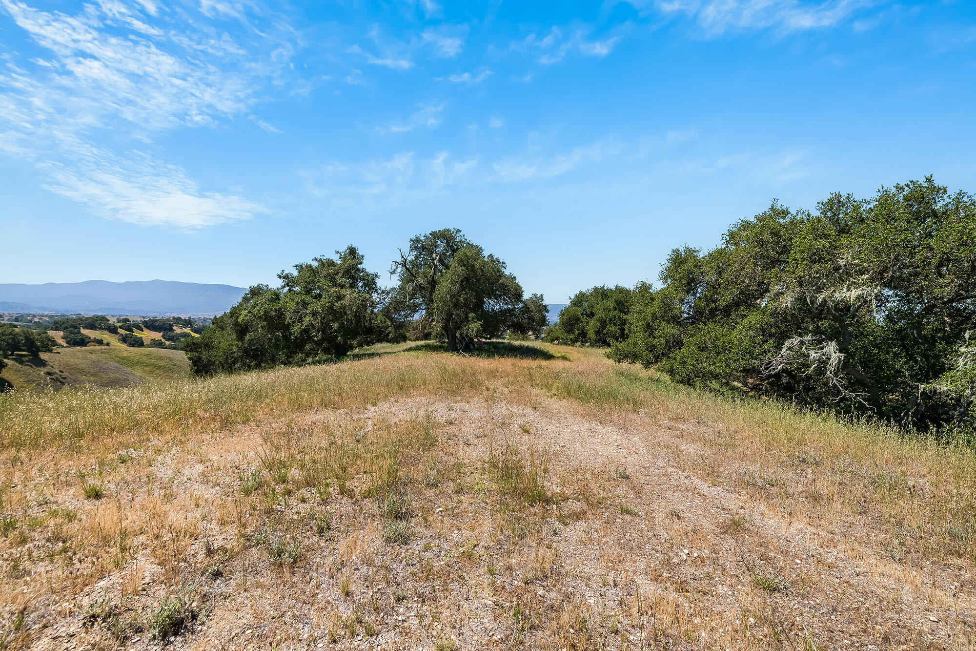 Santa Ynez, California, 93460, United States, 3 Bedrooms Bedrooms, ,3 BathroomsBathrooms,Residential,For Sale,1828139