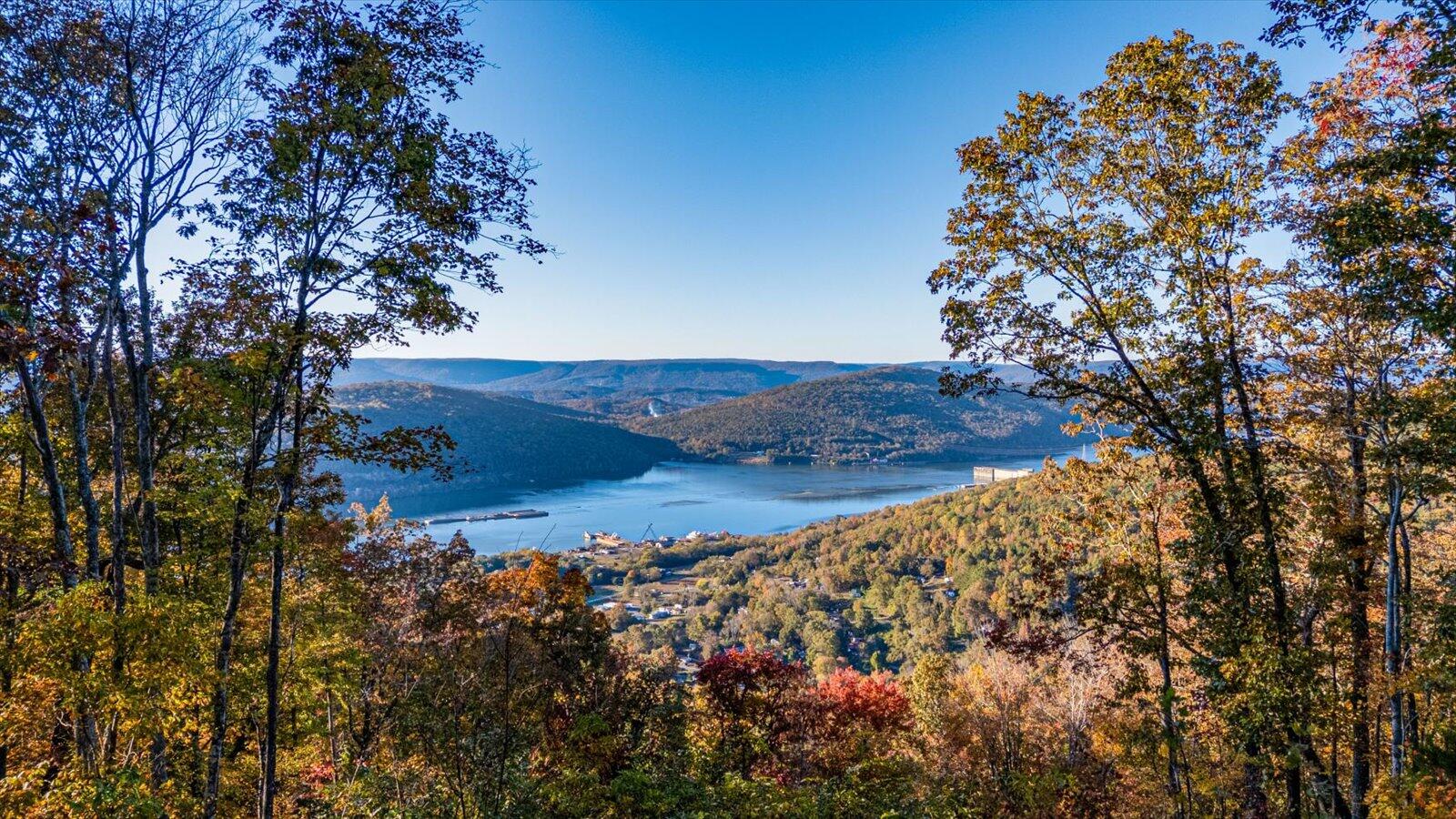 Guild, Tennessee, 37340, United States, ,Land,For Sale,1986106