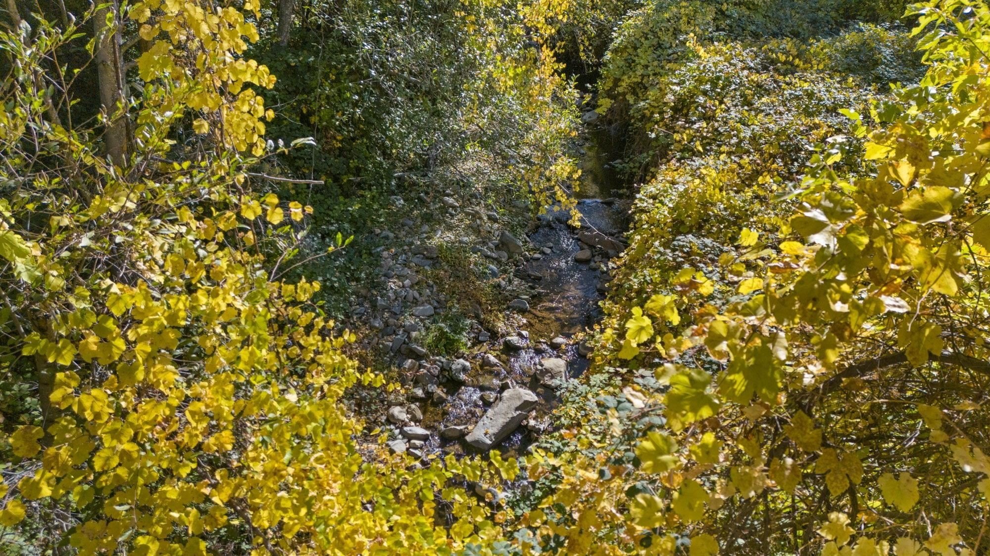 Sonora, California, 95370, United States, ,Residential,For Sale,2010802