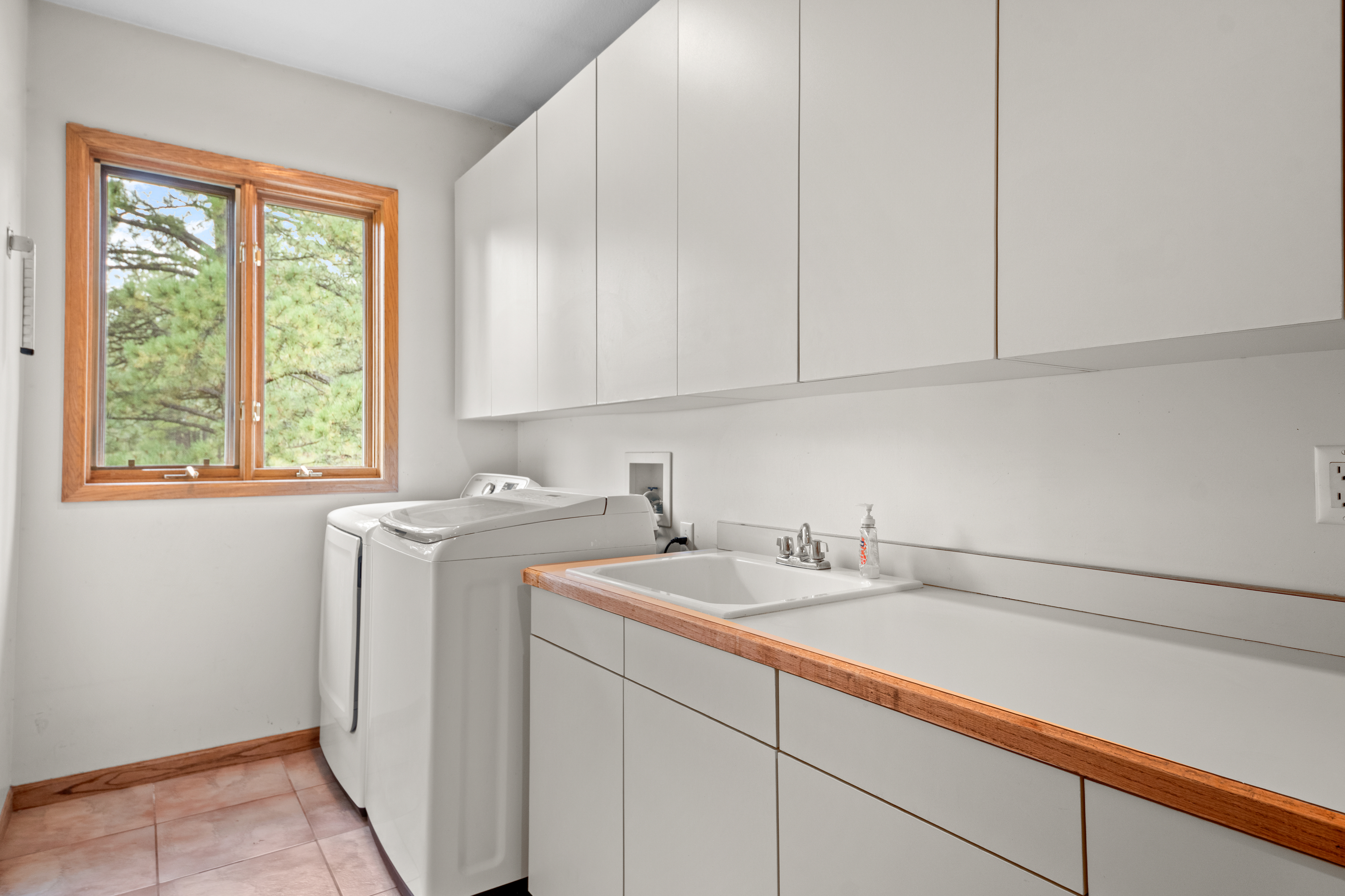  Perfect Blend of Space and Colorado Living That Backs to Pike National Forest - 物件實景