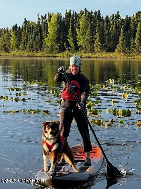 Kasilof, Alaska, 99610, United States, 3 Bedrooms Bedrooms, ,4 BathroomsBathrooms,Residential,For Sale,2026107