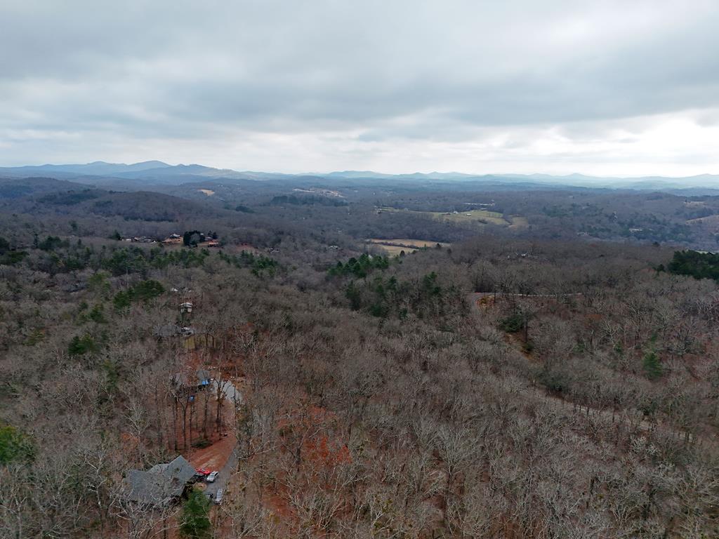 Blue Ridge, Georgia, 30513, United States, ,Land,For Sale,1859049