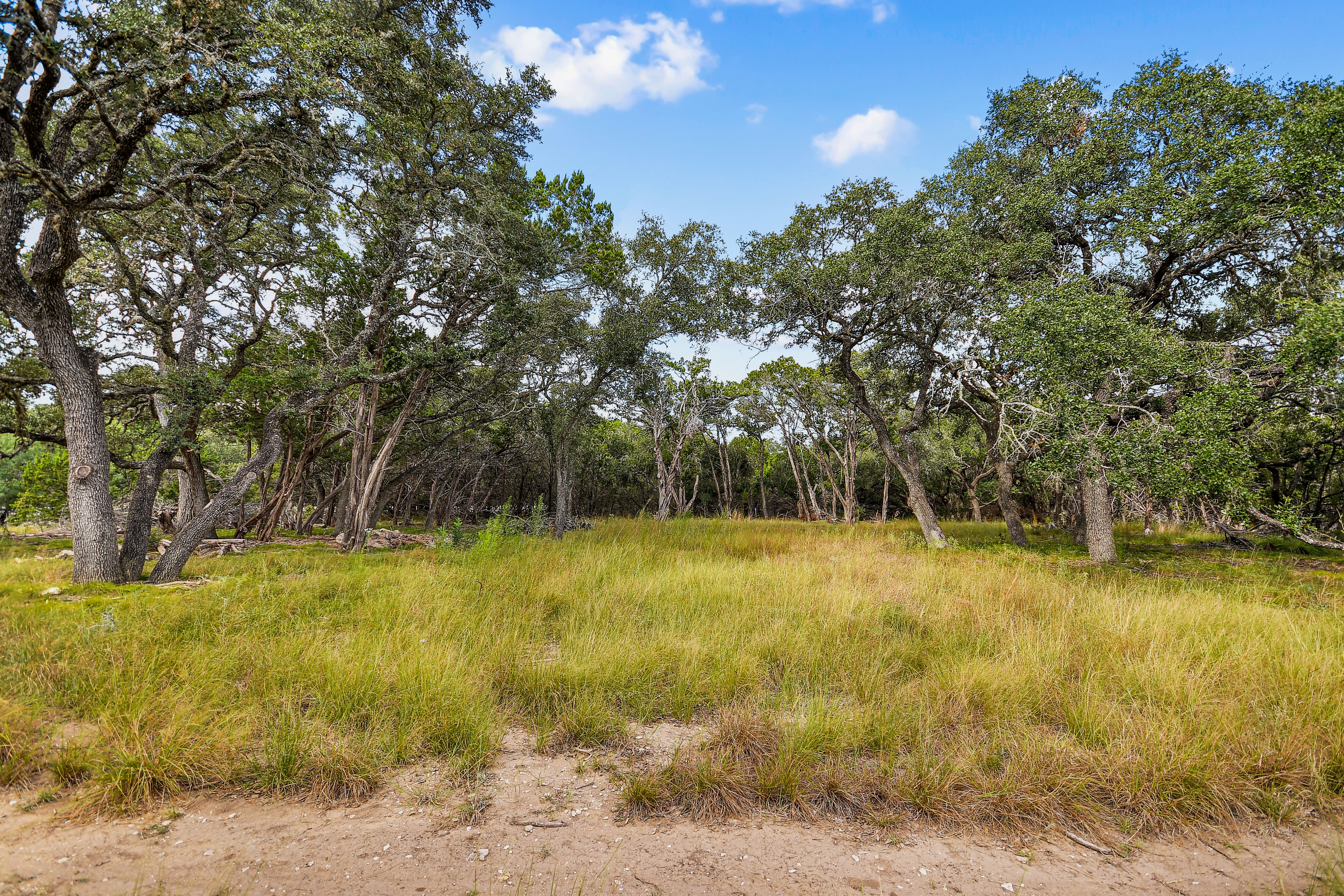  TBD Hwy 46 / Madrona Ranch Road, Pipe Creek, TX 78063 - 物件實景
