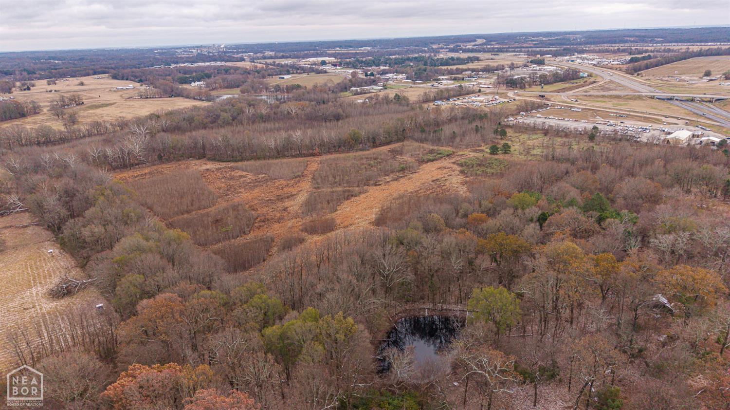Bono, Arkansas, 72416, United States, ,Land,For Sale,2005103