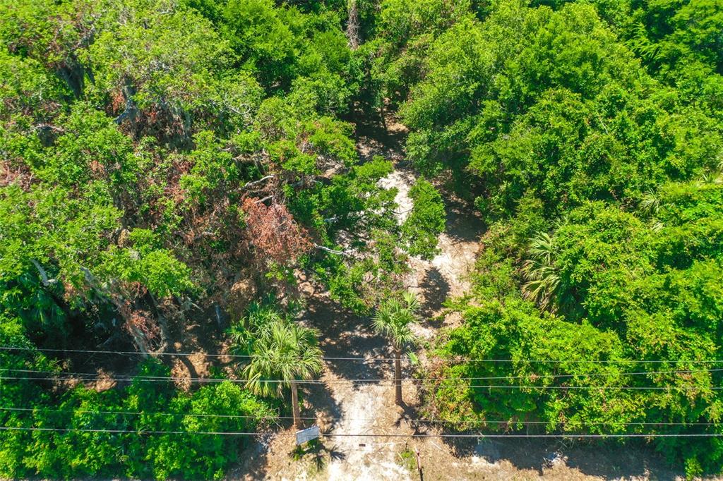 Palm Coast, Florida, 32137, United States, ,Land,For Sale,2000398