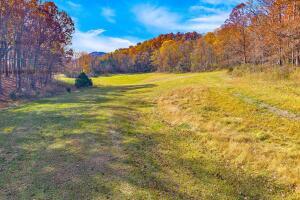 Fincastle, Virginia, 24090, United States, ,Residential,For Sale,1989448