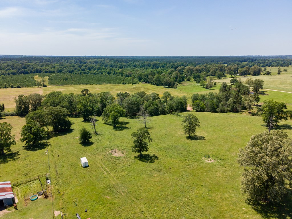 Pollok, Texas, 75969, United States, ,Residential,For Sale,1928088