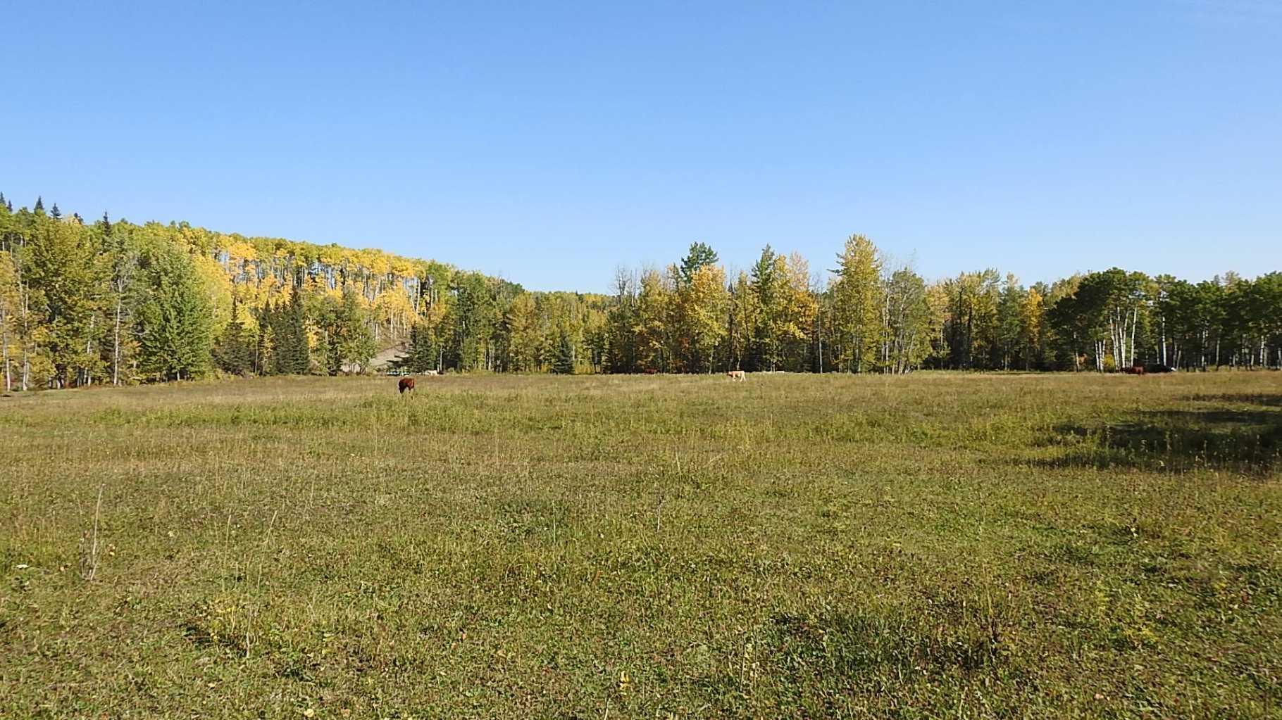 RURAL FOOTHILLS COUNTY, Alberta, T0L 1K0, CA, ,Residential,For Sale,1836944