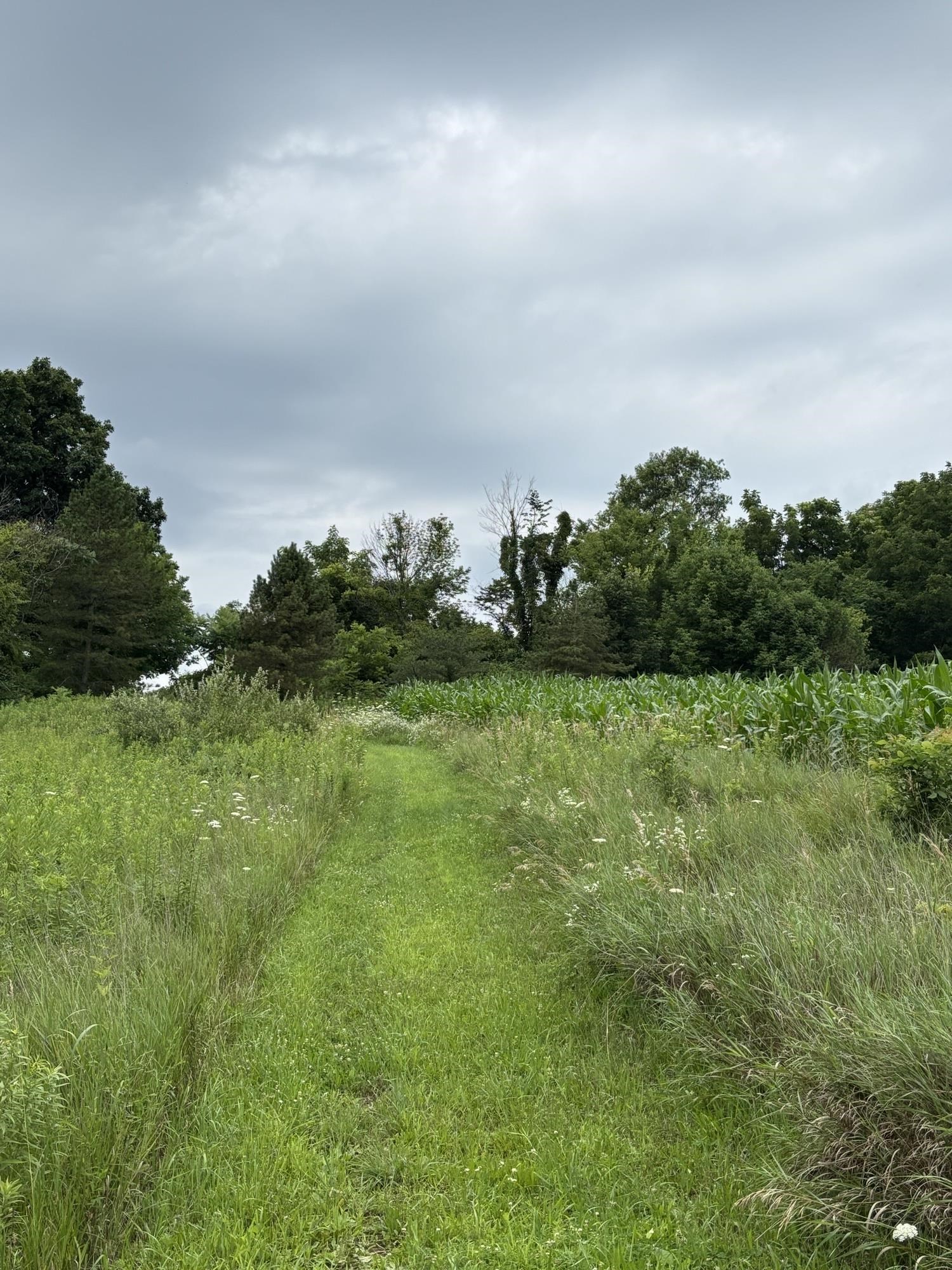Gays Mills, Wisconsin, 54631, United States, ,Residential,For Sale,1928729