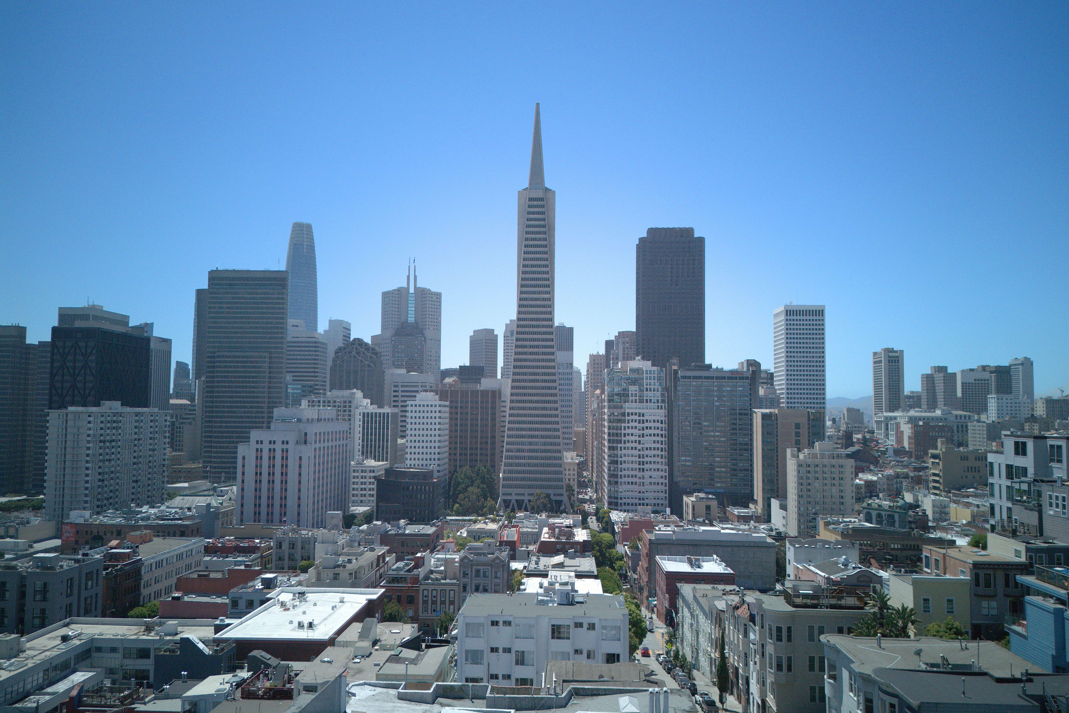  Telegraph Hill Trophy - 物件實景