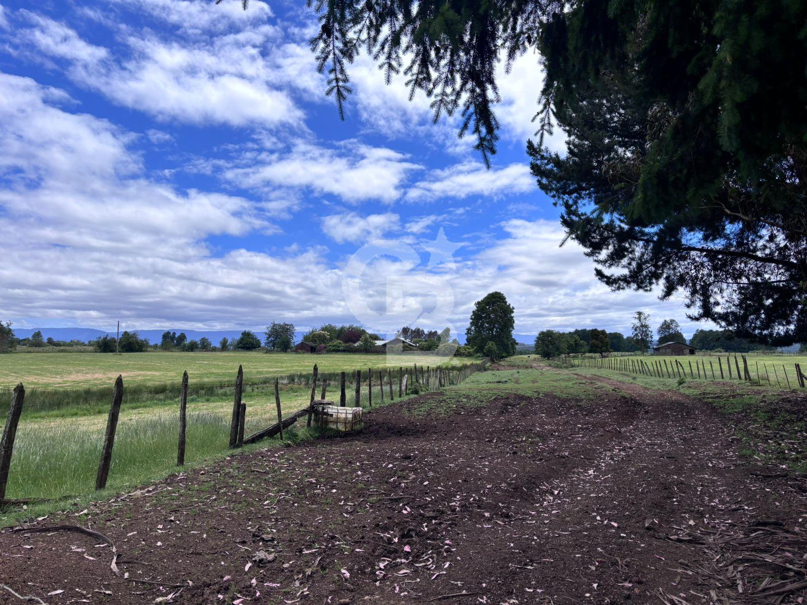 Fresia, Chile, ,Land,For Sale,2003048