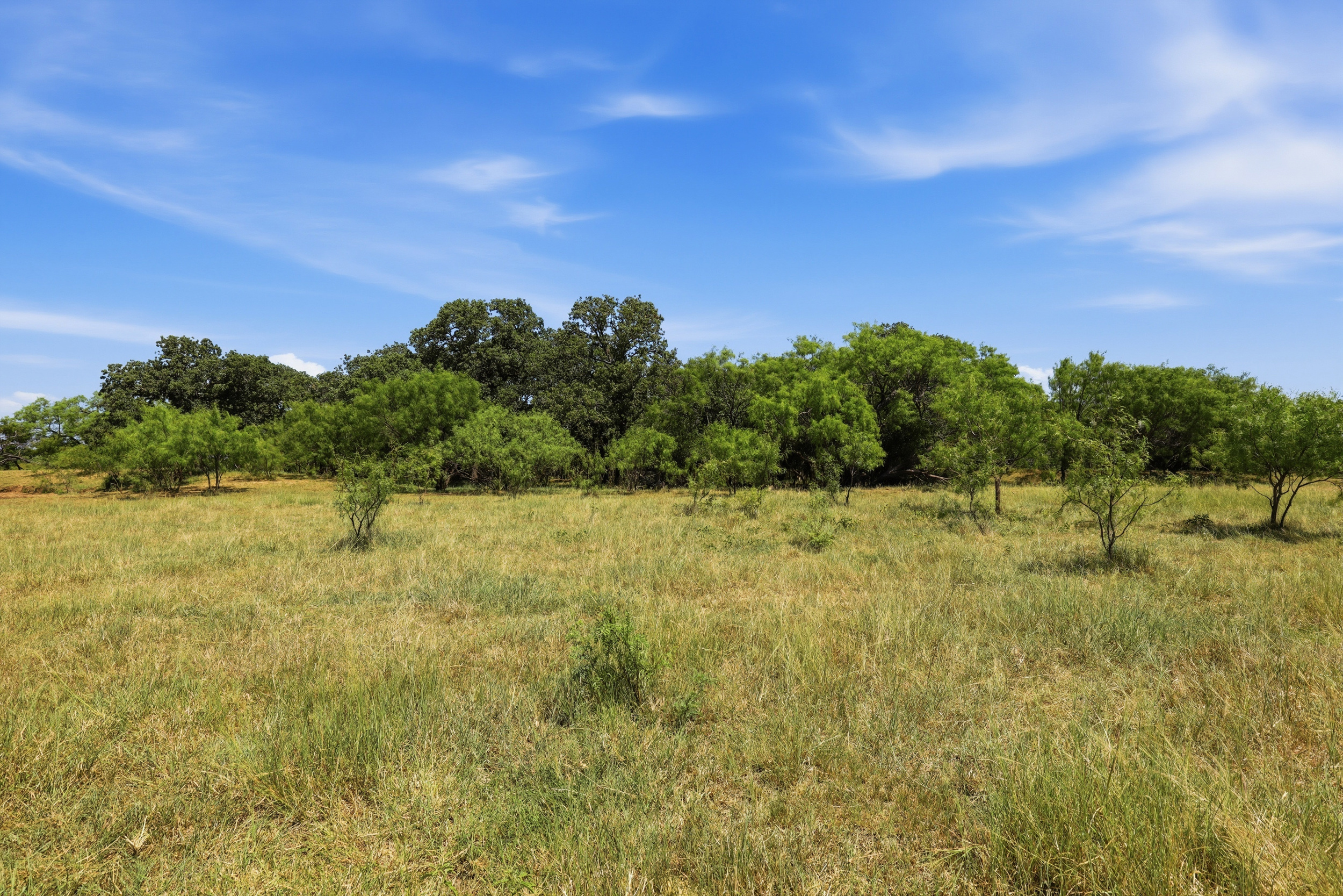  125 Acres of Texas Land for Recreation and Retreat - 物件實景