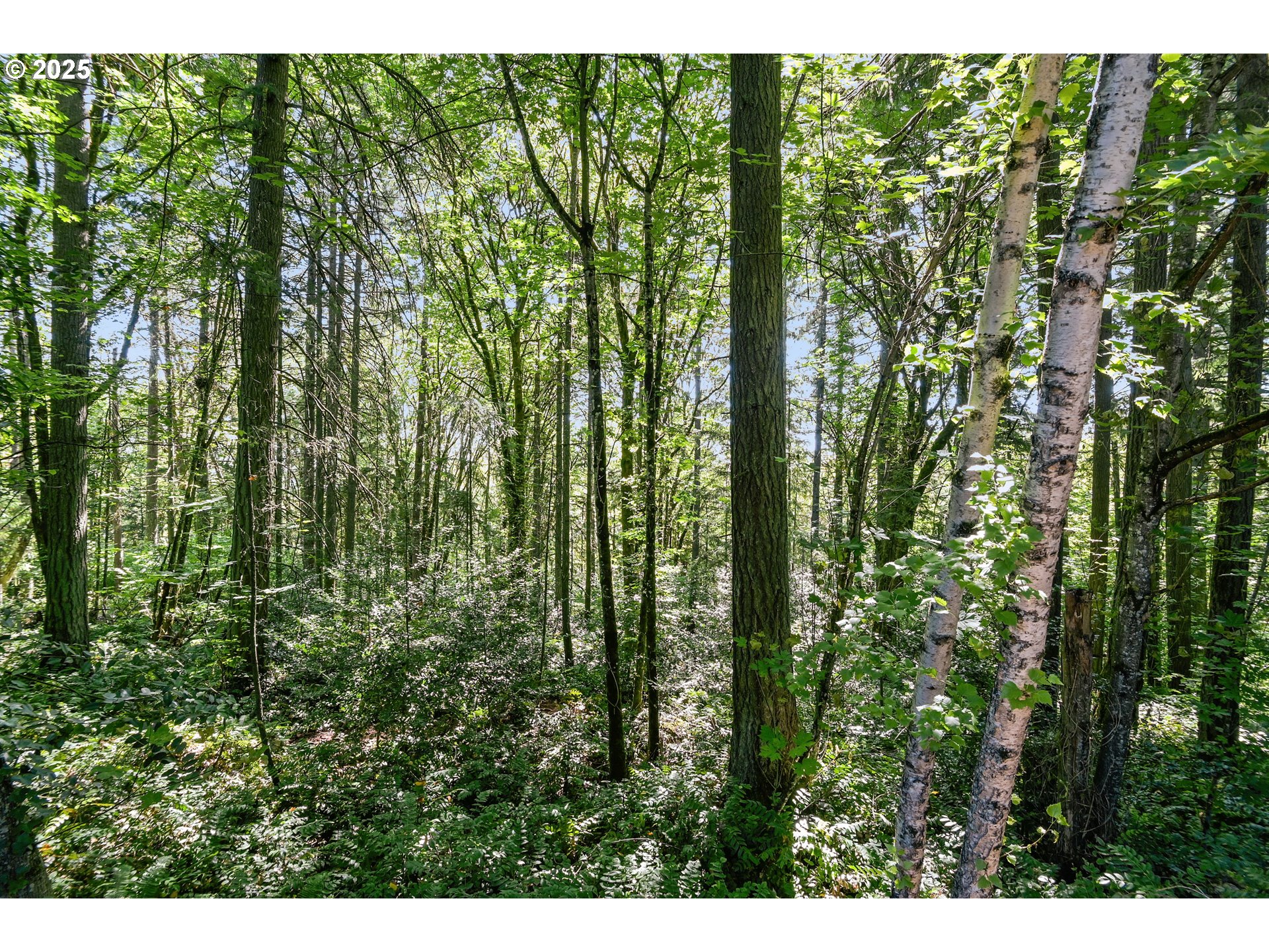 Portland, Oregon, 97223, United States, 4 Bedrooms Bedrooms, ,2 BathroomsBathrooms,Residential,For Sale,1892030