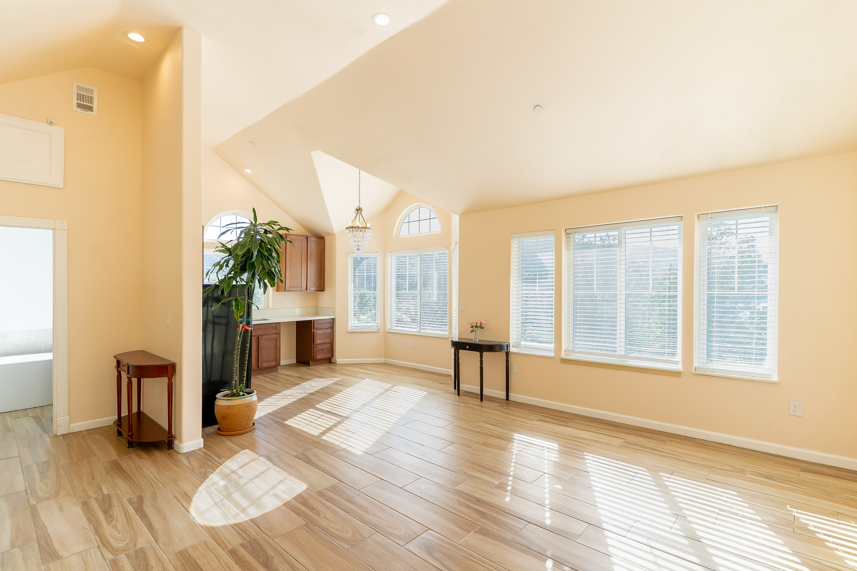  Steele Canyon house with a view - 物件實景