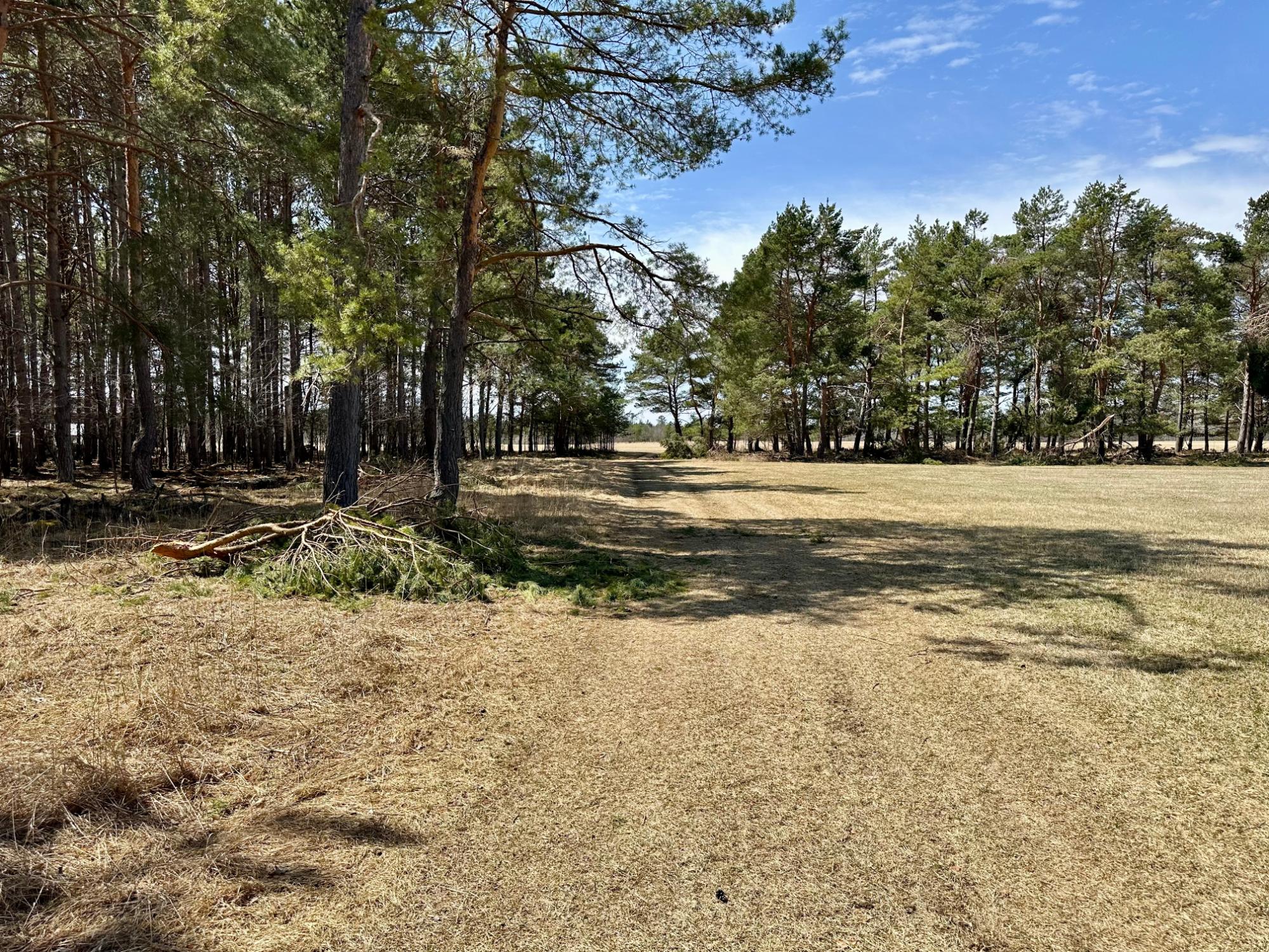 Tomahawk, Wisconsin, 54487, United States, 3 Bedrooms Bedrooms, ,3 BathroomsBathrooms,Residential,For Sale,1798272