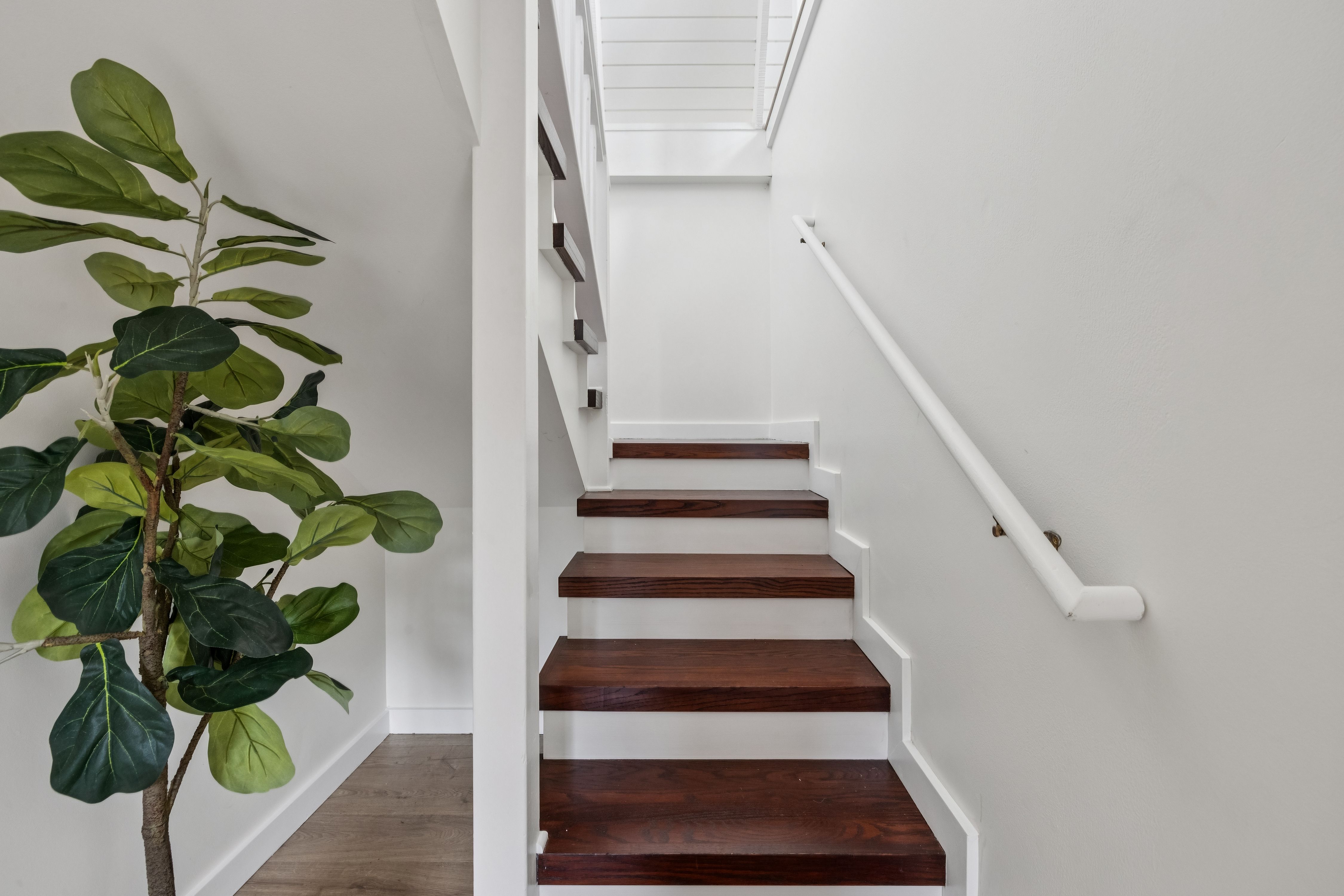  Radiant Residence, Natural Habitat in Bolinas - 物件實景