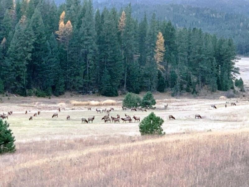 New Meadows, Idaho, 83654, United States, ,Land,For Sale,2005639