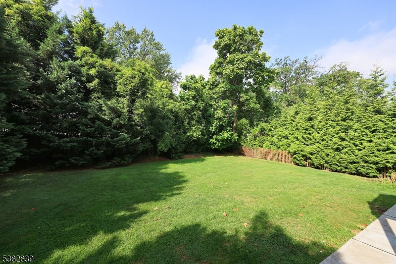 Westfield Town, New Jersey, 07090, United States, 5 Bedrooms Bedrooms, ,3 BathroomsBathrooms,Residential,For Sale,1941025