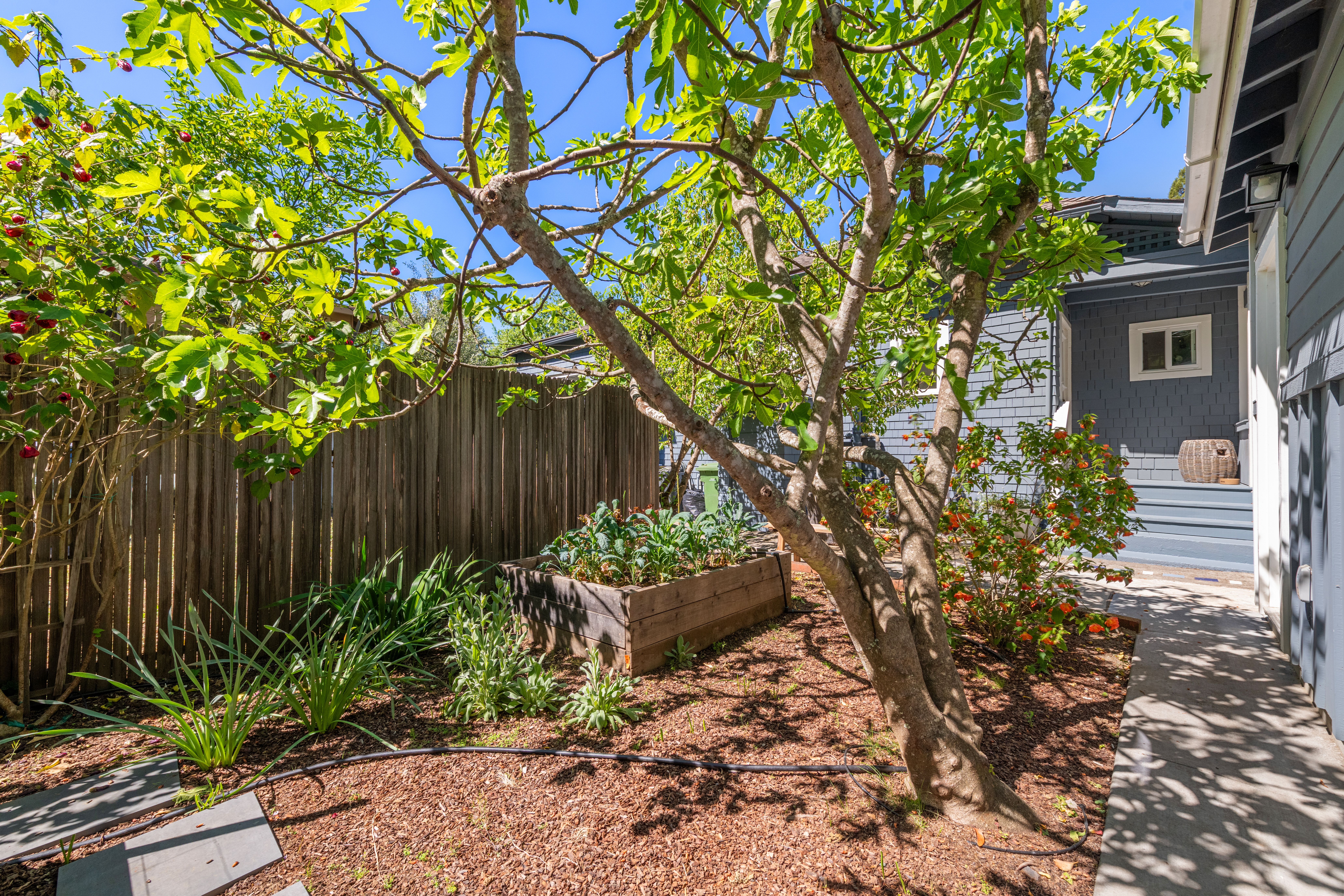  Easy Living in the Heart of Deer Park - 物件實景