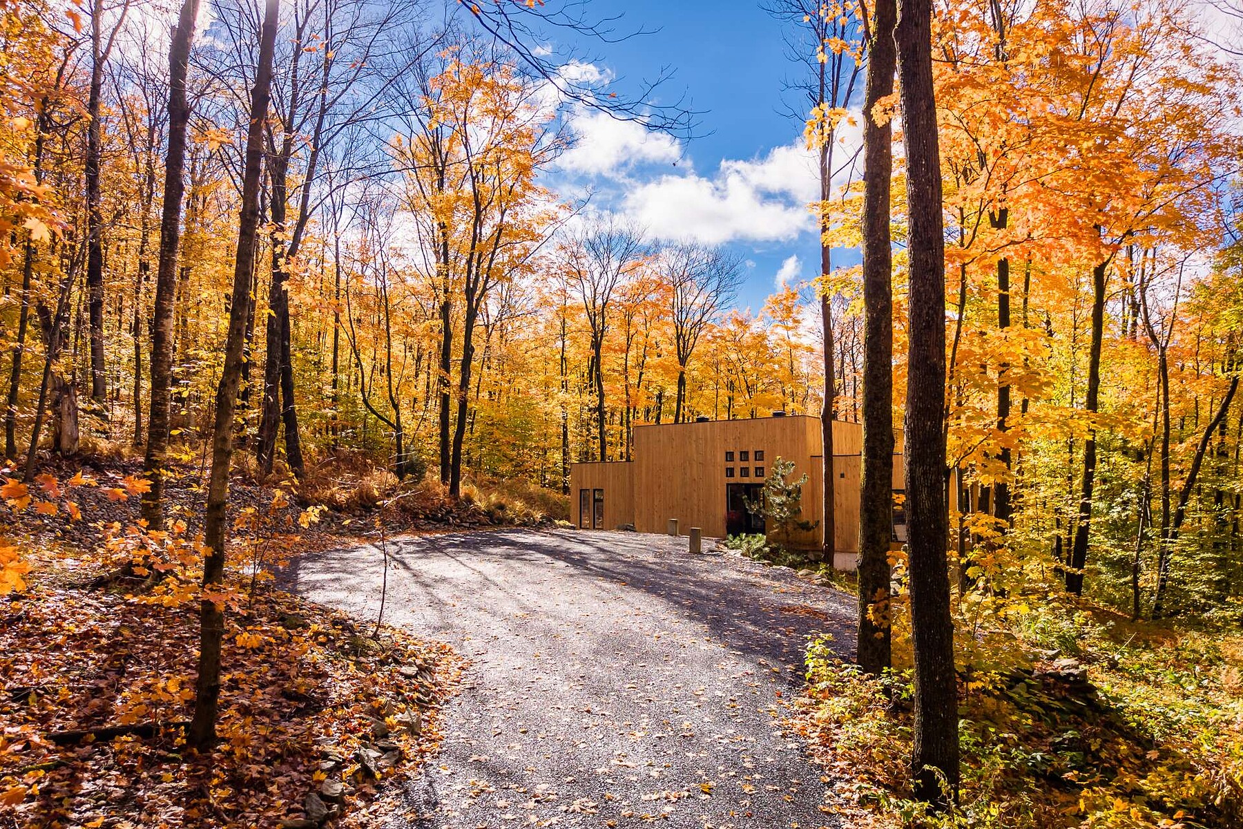  Sutton, Eastern Townships - 物件實景