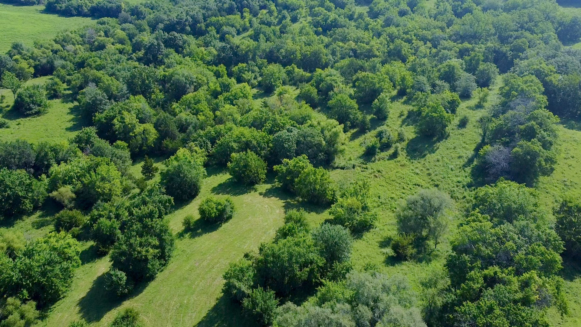 Princeton, Missouri, 64673, United States, ,Land,For Sale,2001559