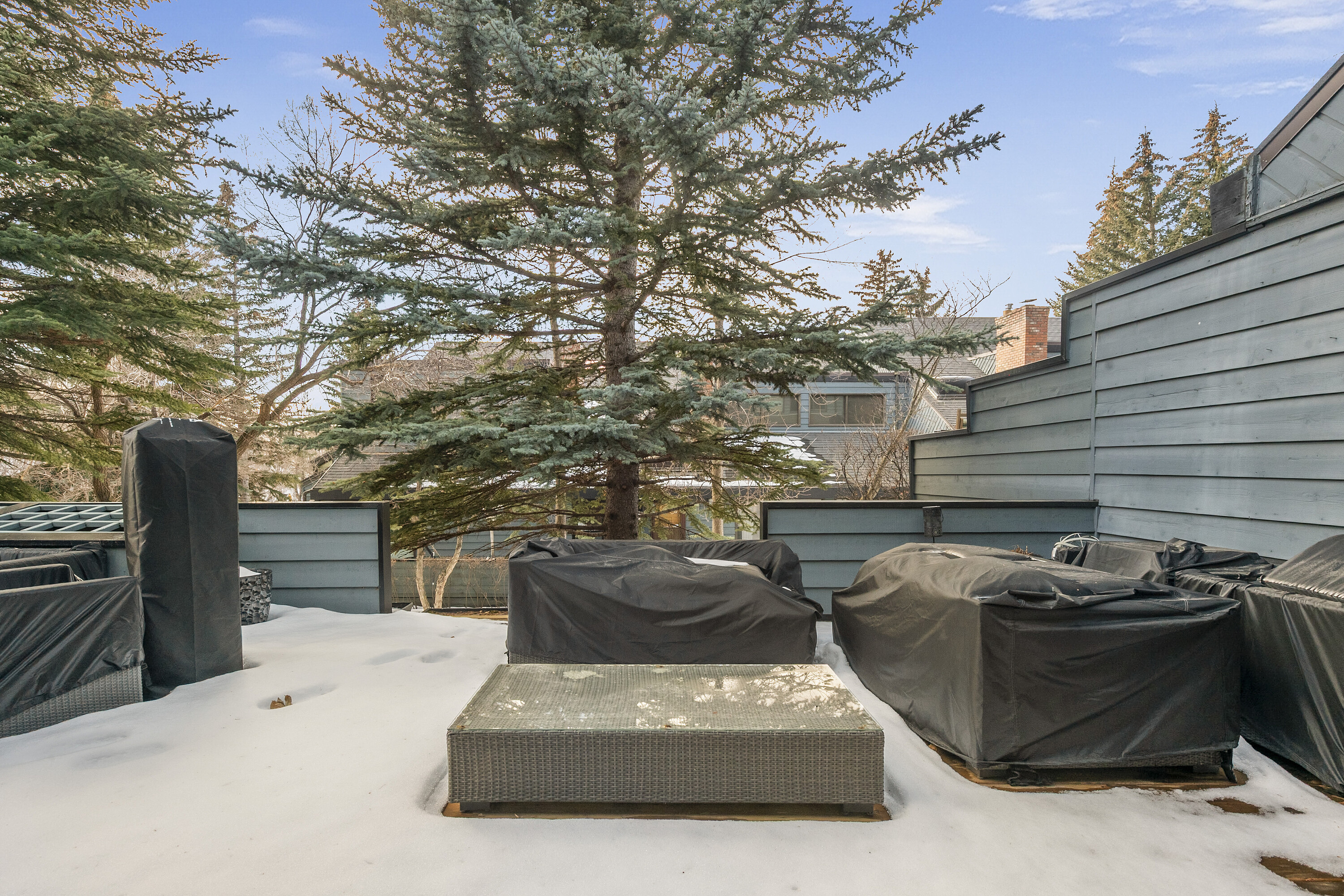  Calgary, Calgary and Foothills - 物件實景