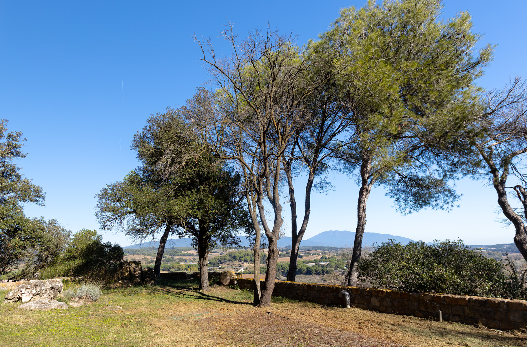 Historic residential castle in Barcelona province - 物件實景