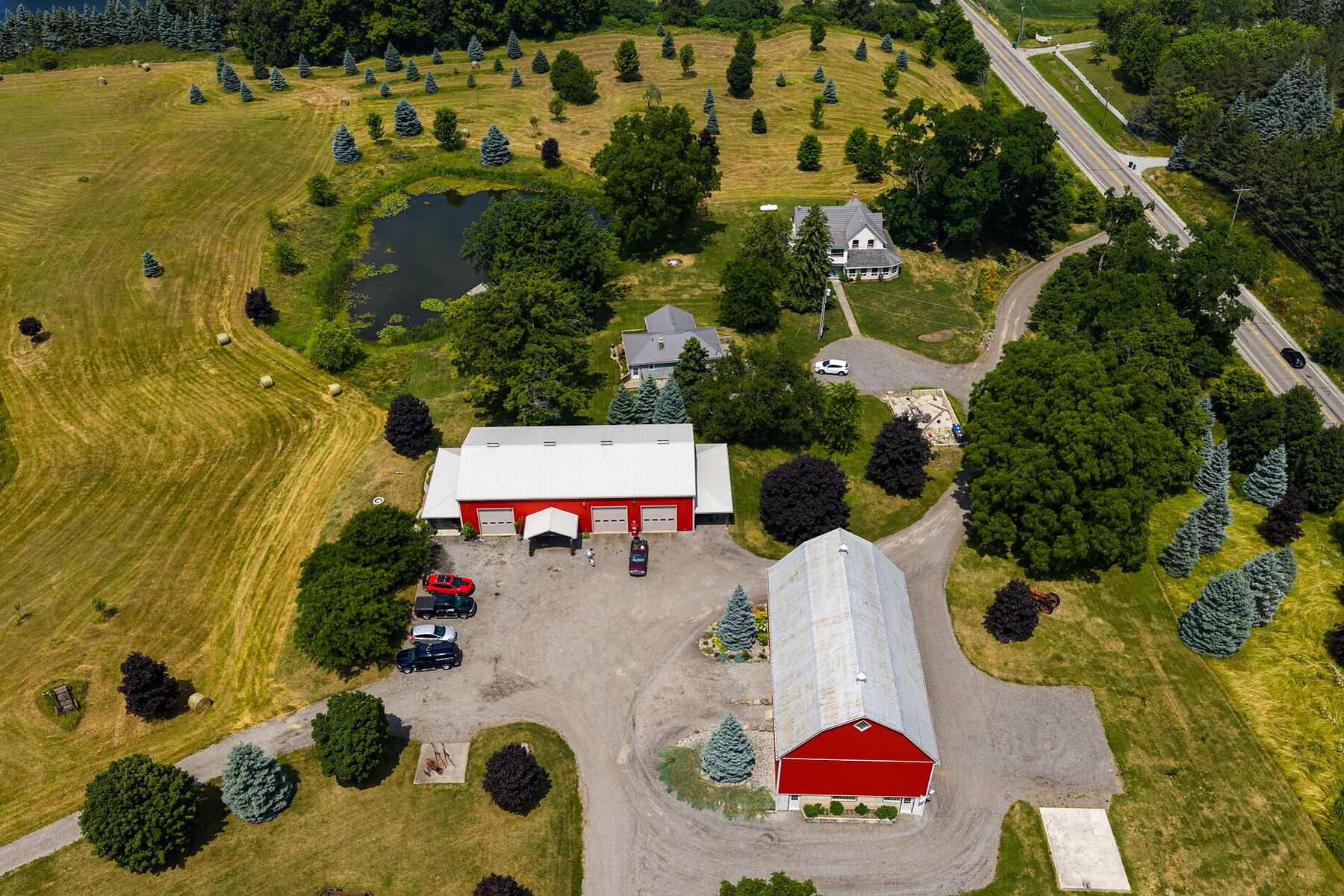  96-acre Farm Estate - 物件實景