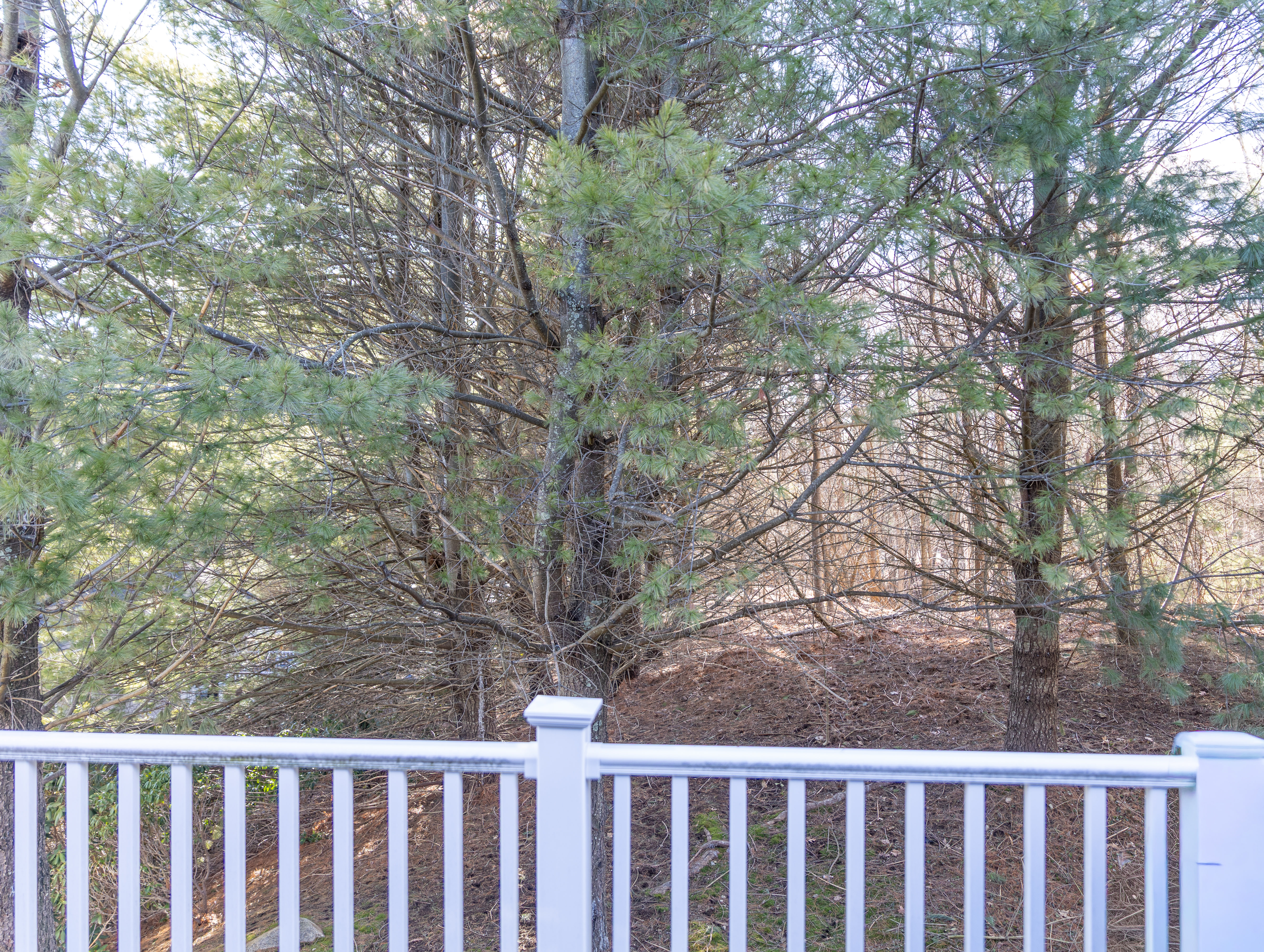  4 Autumn Drive, Unit B, Hudson, MA 01749 - 物件實景