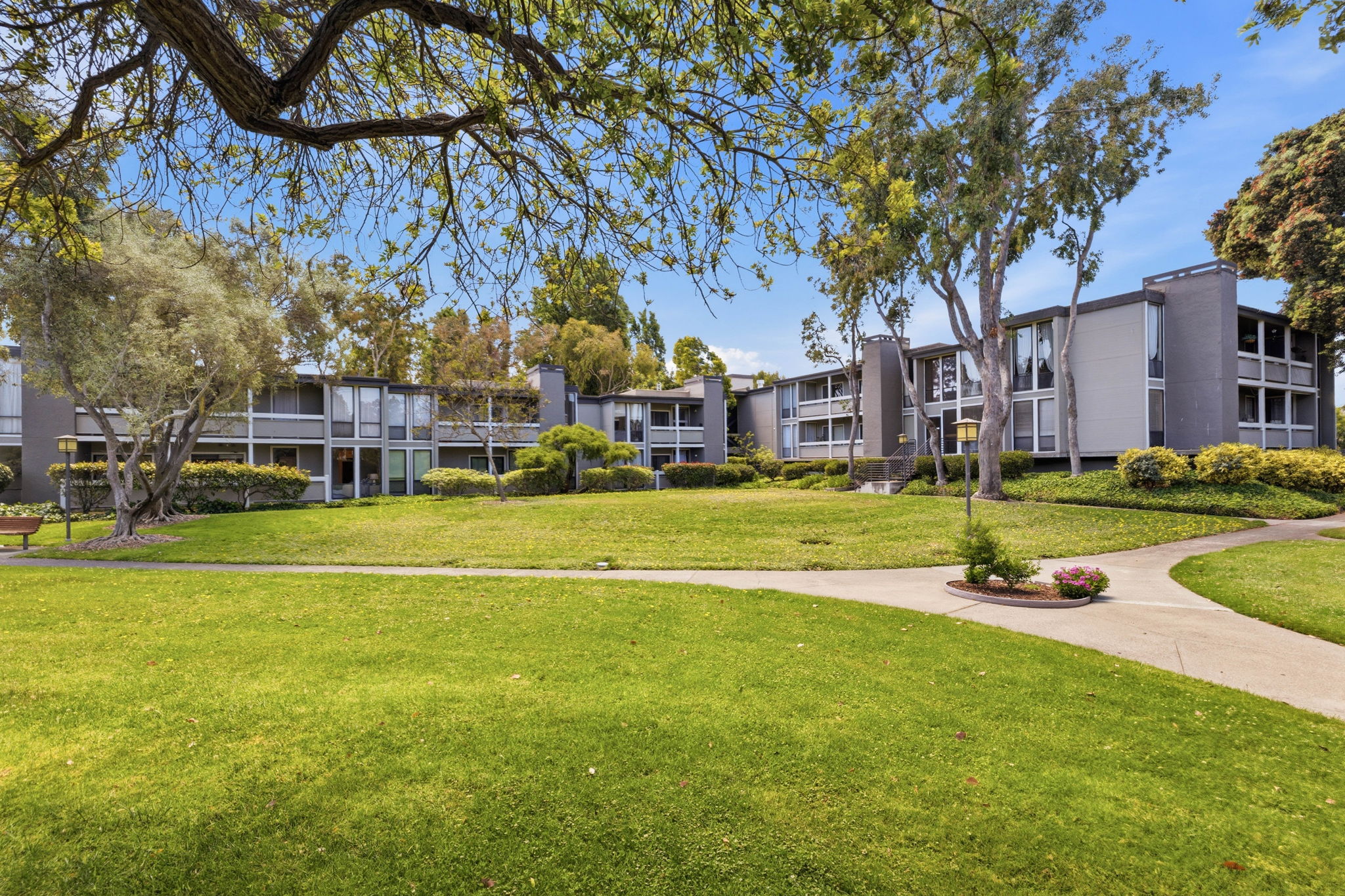  Fabulous Foster City Condo - 物件實景