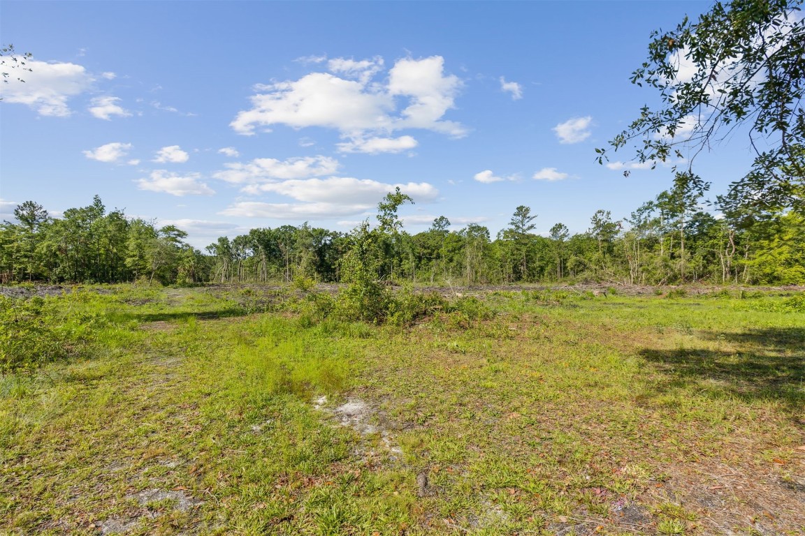 Hilliard, Florida, 32046, United States, 5 Bedrooms Bedrooms, ,3 BathroomsBathrooms,Residential,For Sale,1975906