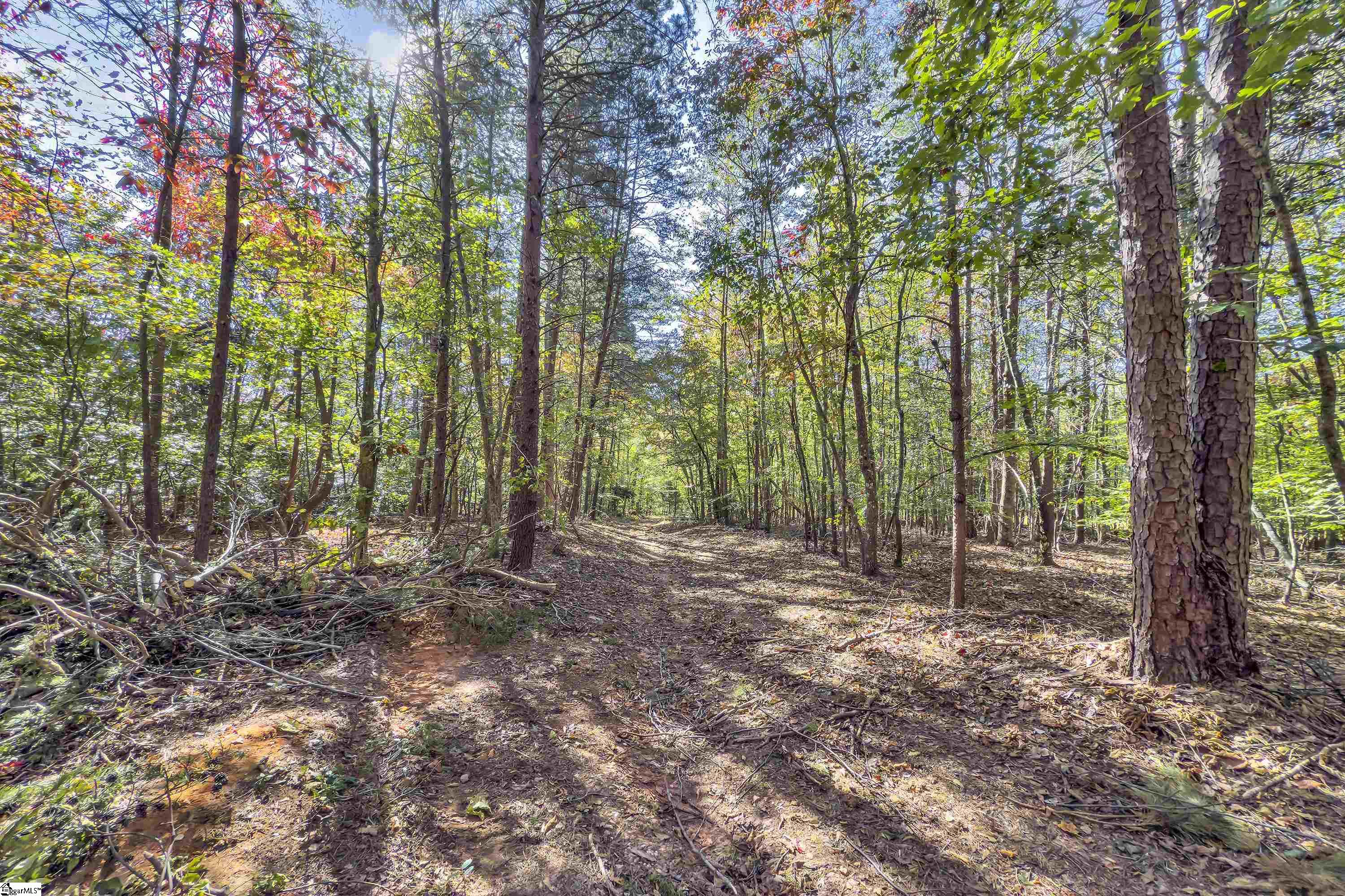 Old Converse Road, Spartanburg, South Carolina, 29301, United States, ,Land,For Sale,Old Converse Road,1647138