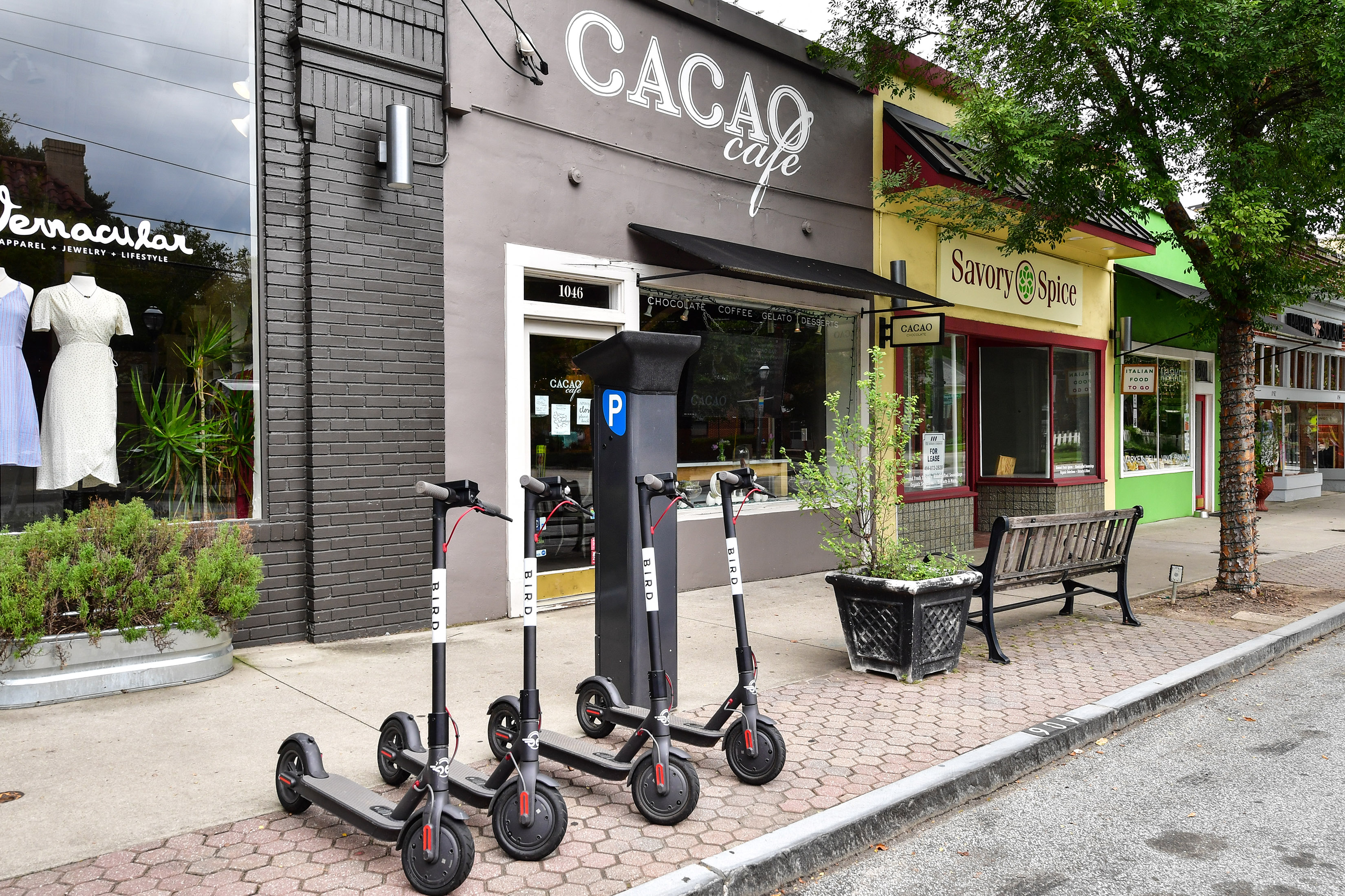  Timeless Druid Hills Charm Meets Modern Updates - 物件實景