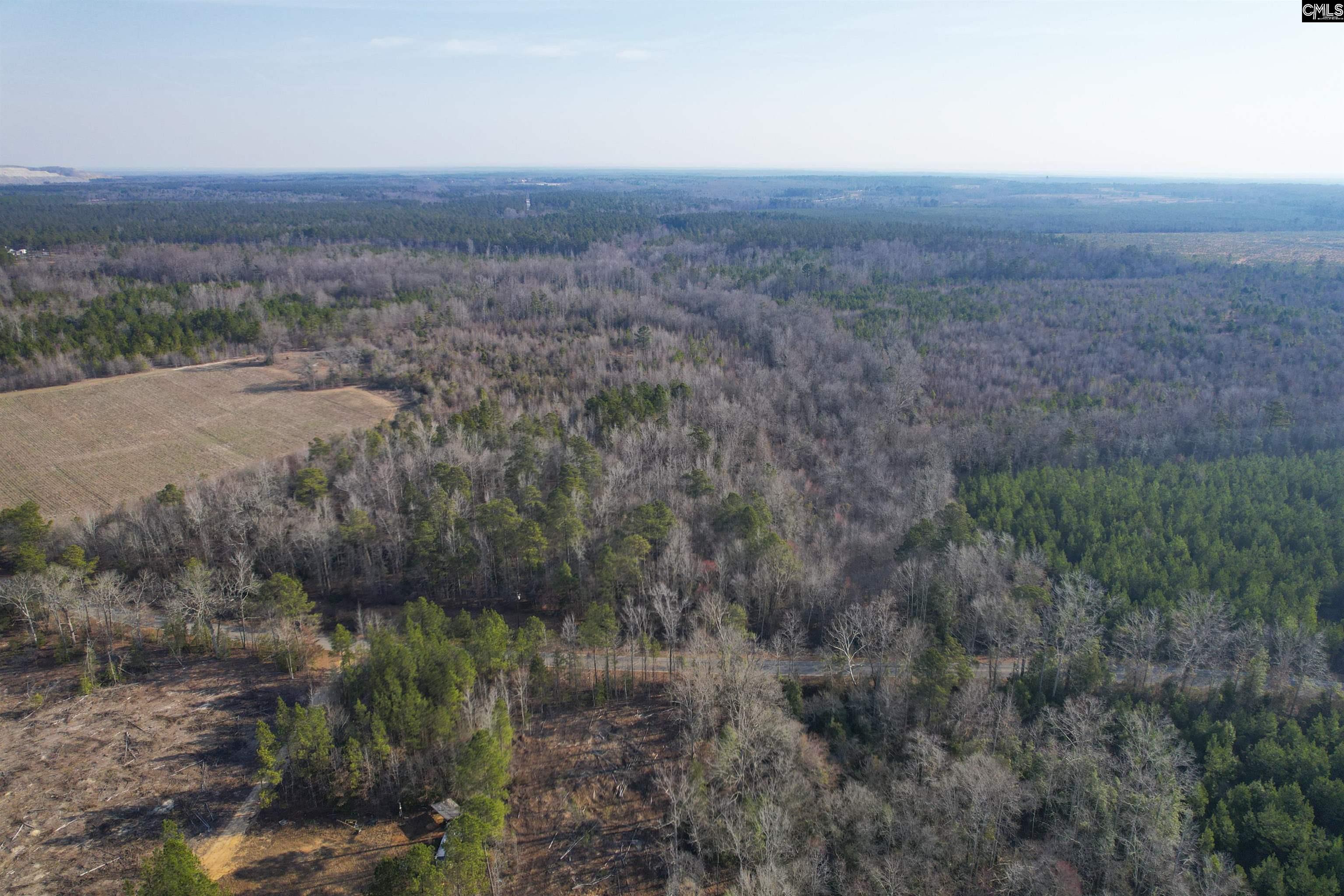 703 Neds Creek Road, Kershaw, South Carolina, 29067, United States, ,Land,For Sale,703 Neds Creek Road,1669372