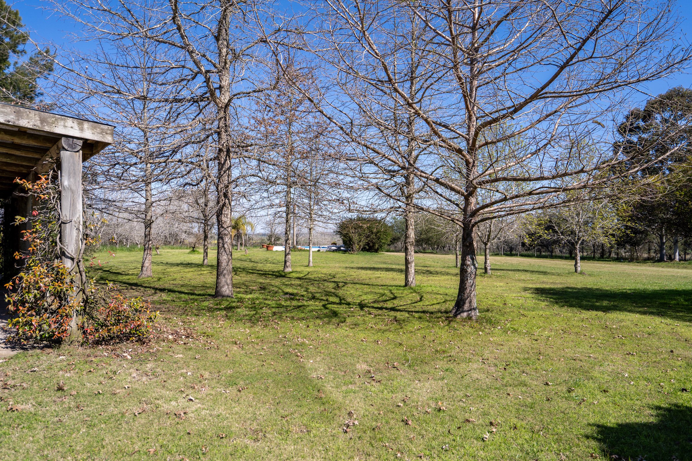 Farm in Lapataia with three buildings. - 物件實景