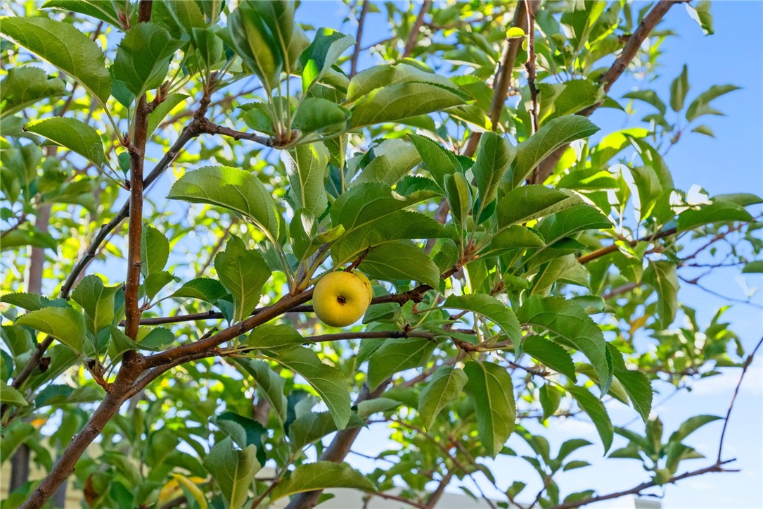 Murrieta, California, 92563, United States, 3 Bedrooms Bedrooms, ,2 BathroomsBathrooms,Residential,For Sale,1987315