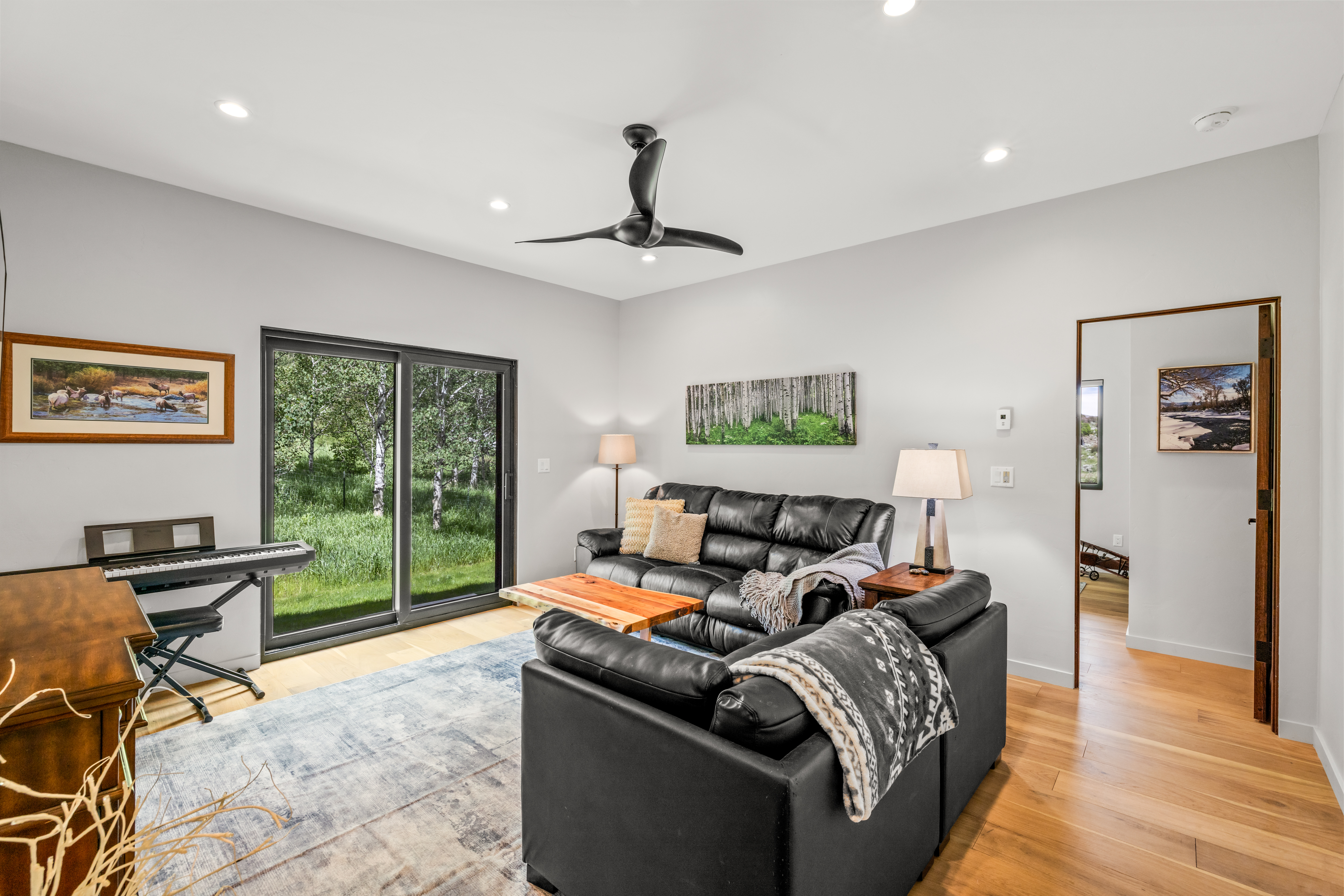  29946 Rock Point Trail, Oak Creek, CO, 80467 - 物件實景