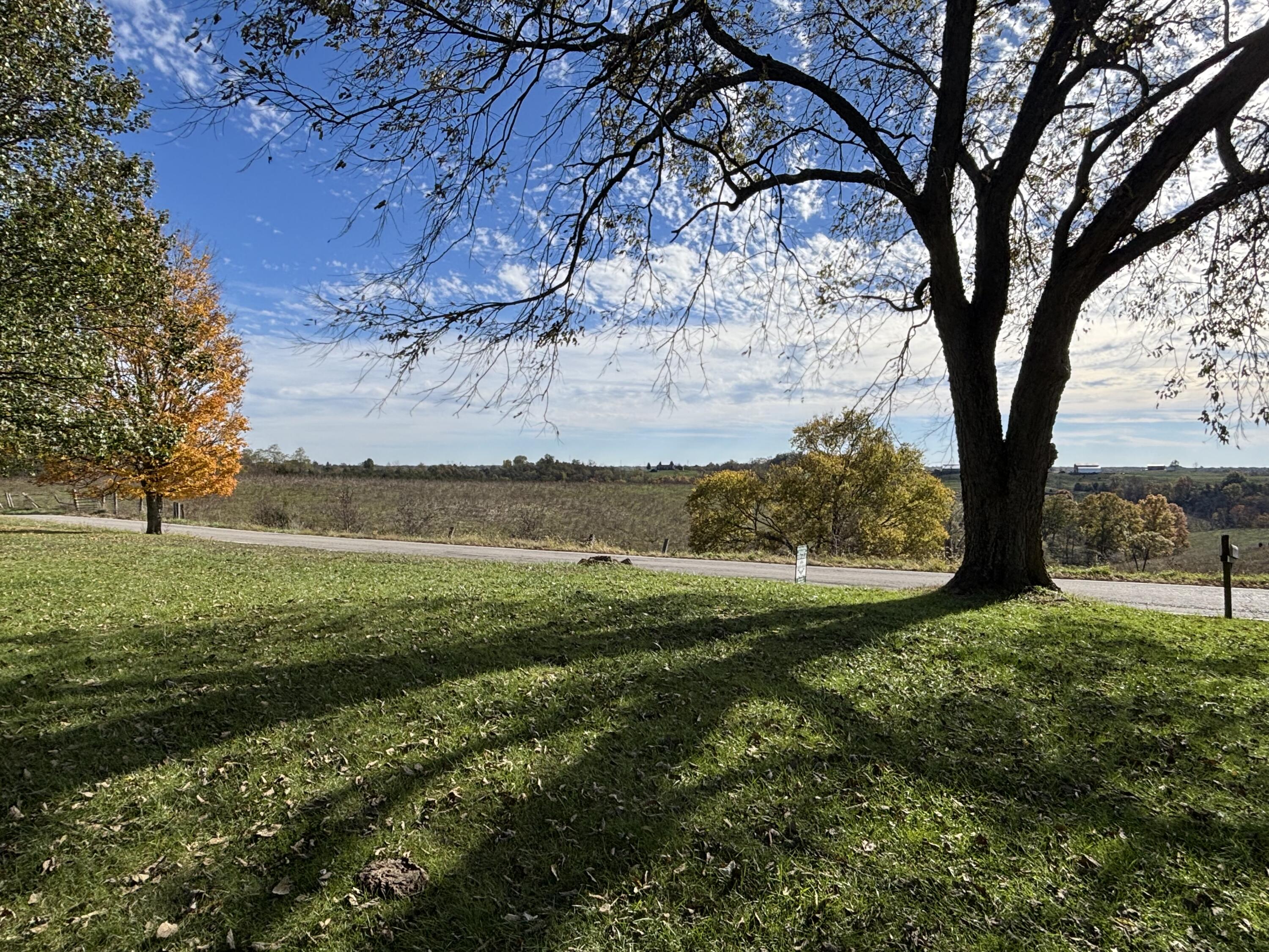 Williamstown, Kentucky, 41097, United States, 3 Bedrooms Bedrooms, ,1 BathroomBathrooms,Residential,For Sale,1995812