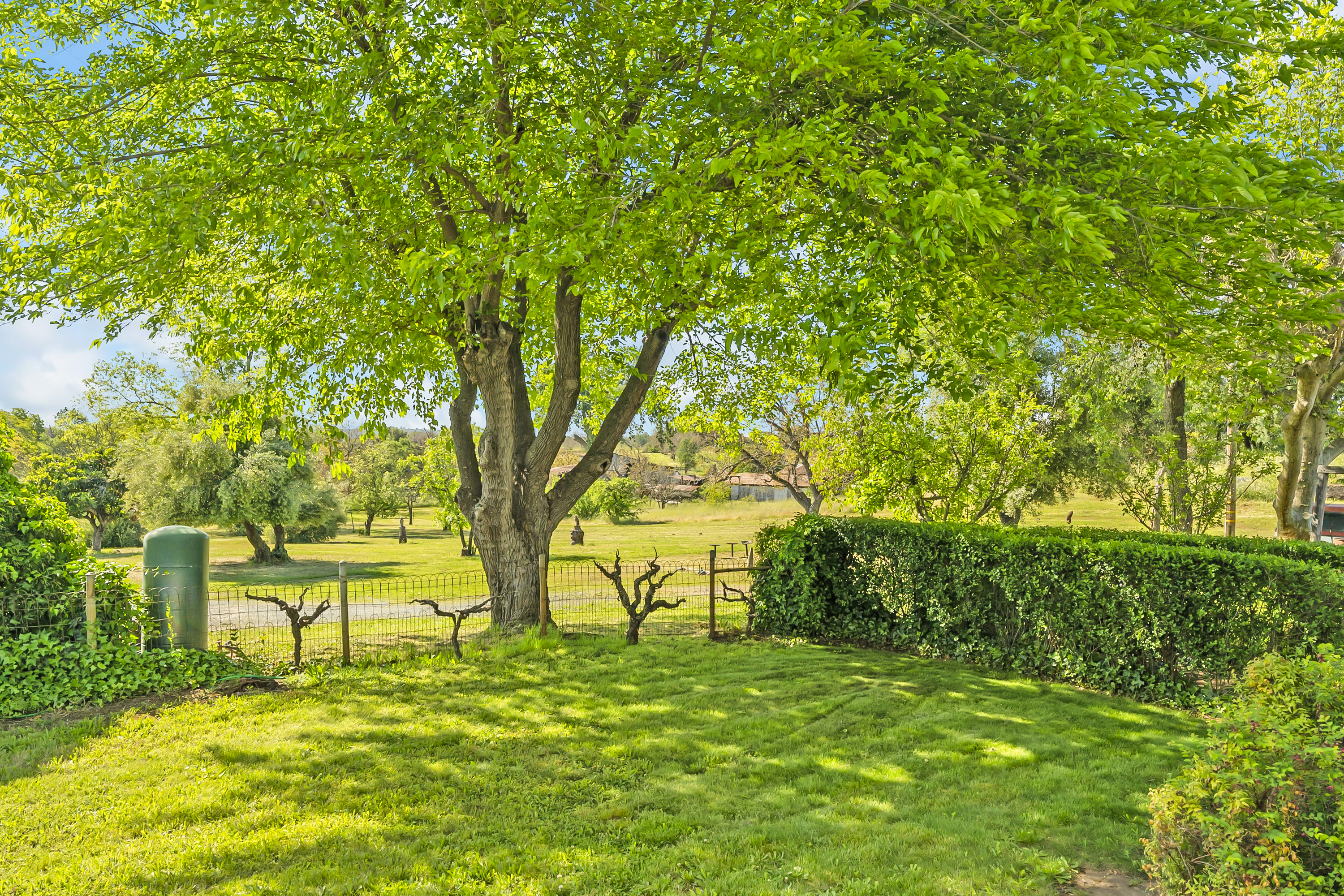  107 Acres - Seasonal Creek - Legacy - 物件實景