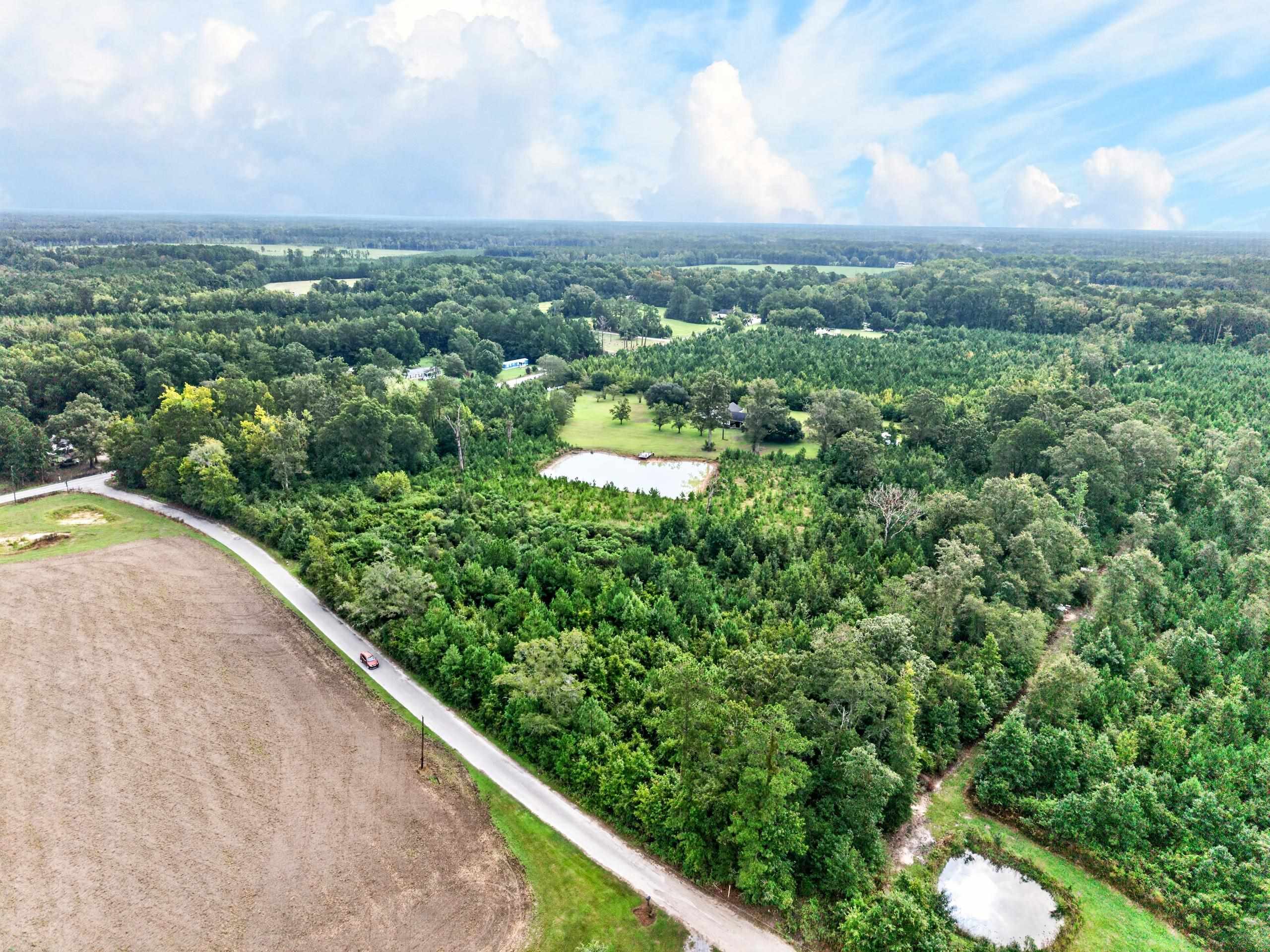  8812 Thurgood Marshall Hwy  Andrews, SC - 物件實景