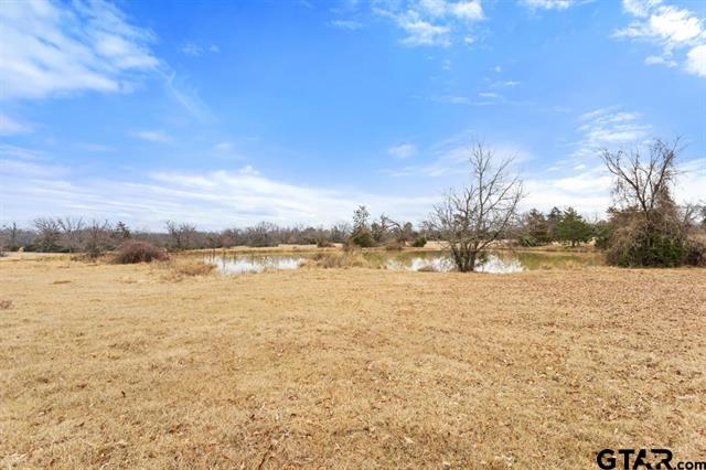 Van, Texas, 75790, United States, ,Land,For Sale,1981017