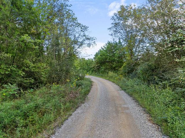 Town Creek, Alabama, 35672, United States, ,Land,For Sale,1954669
